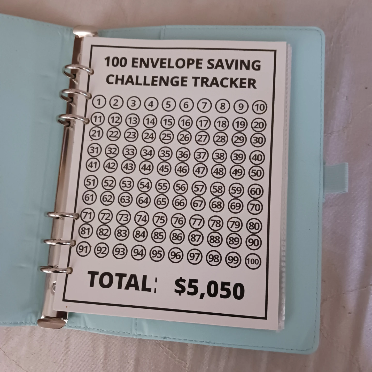 100 Envelope Savings Challenge Binder - photo 2
