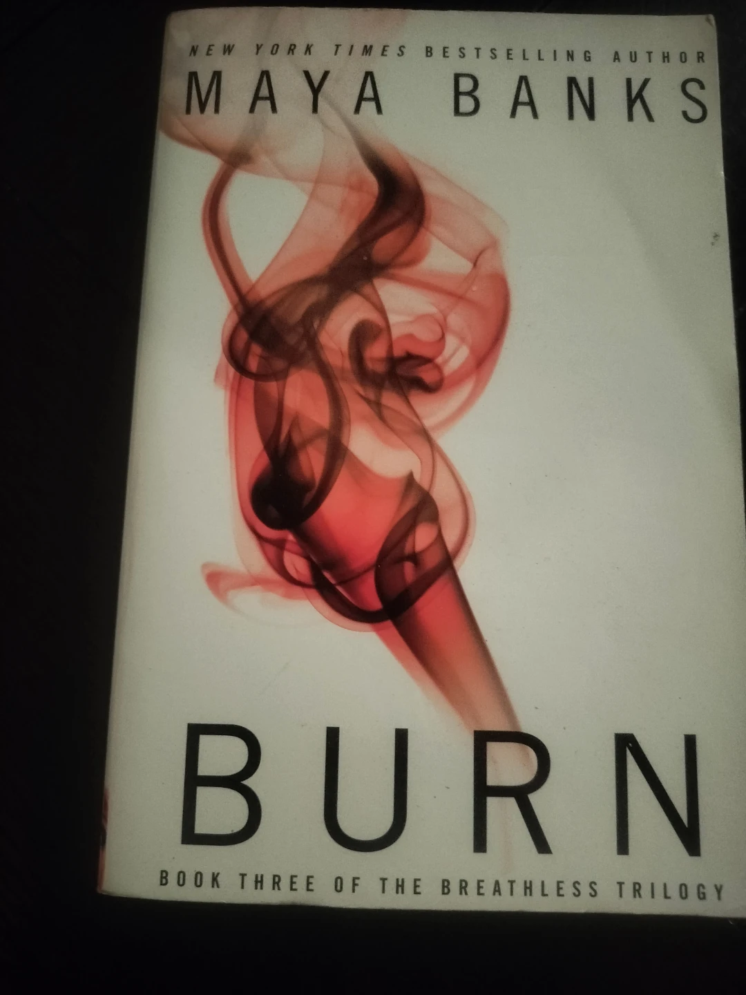 Maya Banks Burn Book Three of the Breathless Trilogy - photo 4