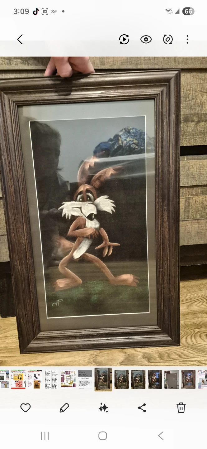 Looney Tunes by Wally Coyote