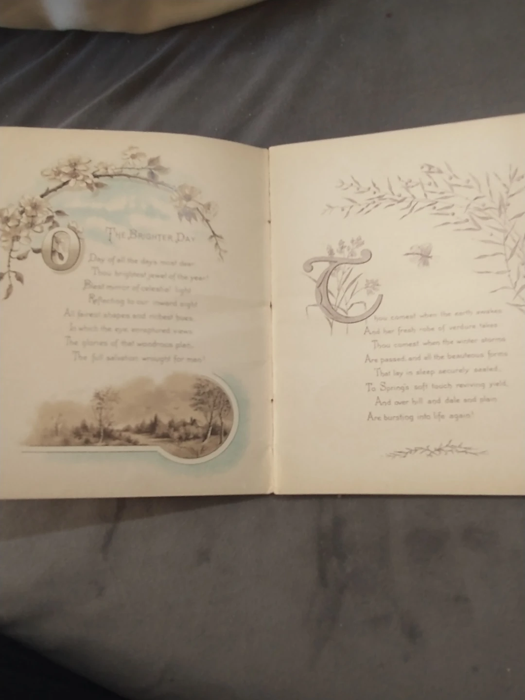 Circa 1900s The Brighter Day Poetry Book - photo 4