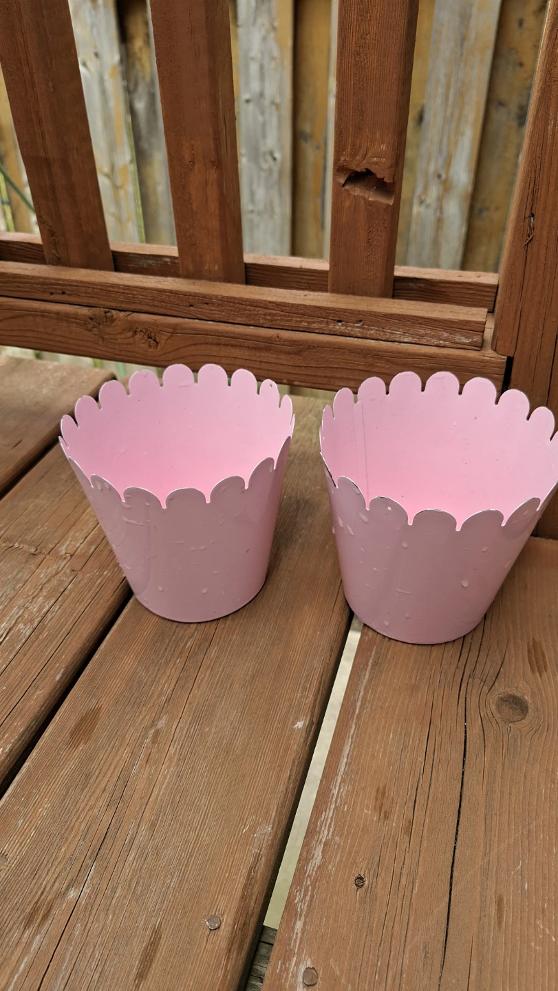 Set of 2 Pink Flower Pots
