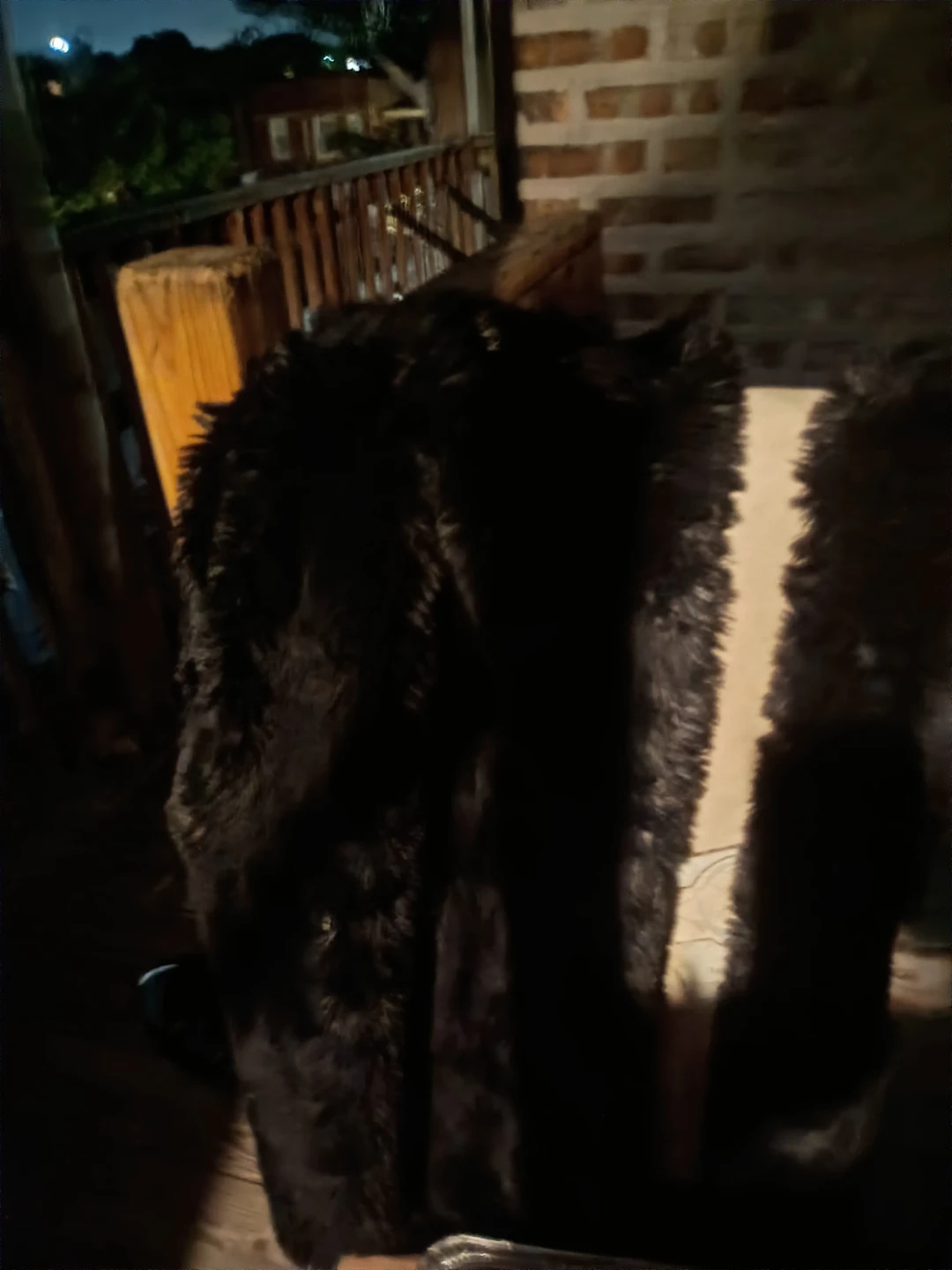⚽Black Faux Fur Coat