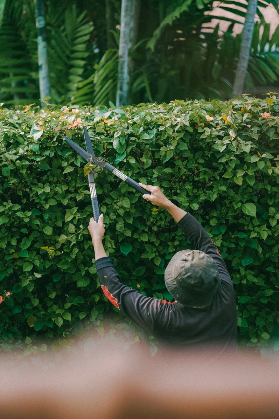 Landscaping and Gardening - photo 3