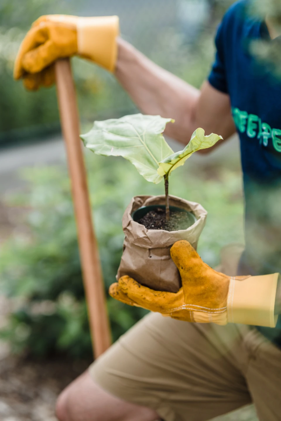 Landscaping and Gardening - photo 4
