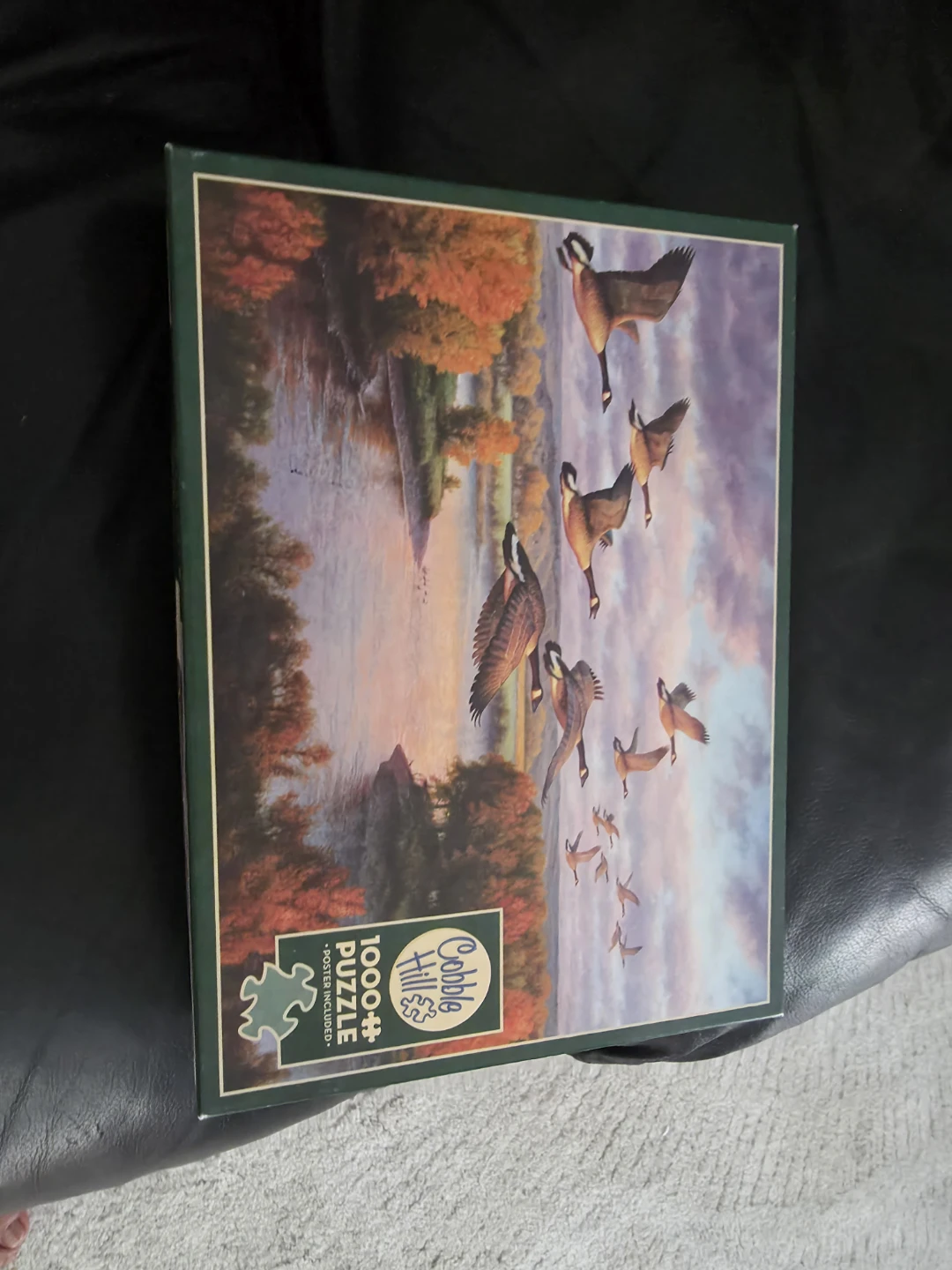 Cobble Hill 1000 Piece Puzzle - Geese in Flight