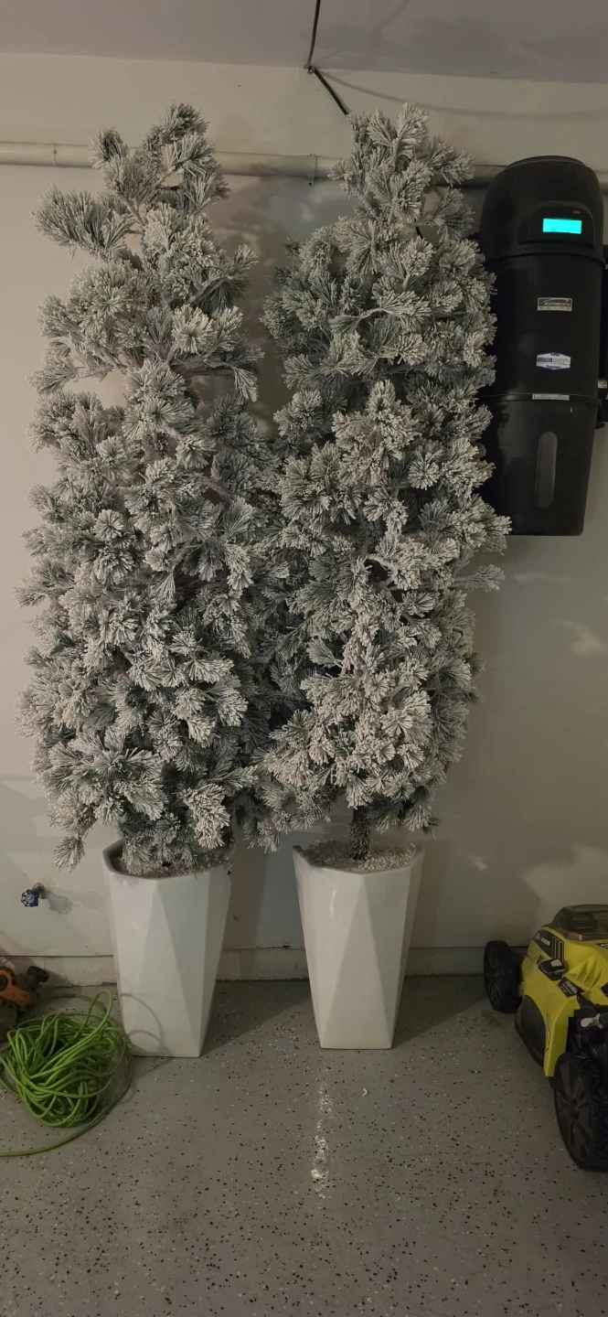 Two Flocked Artificial Christmas Trees with White Pots