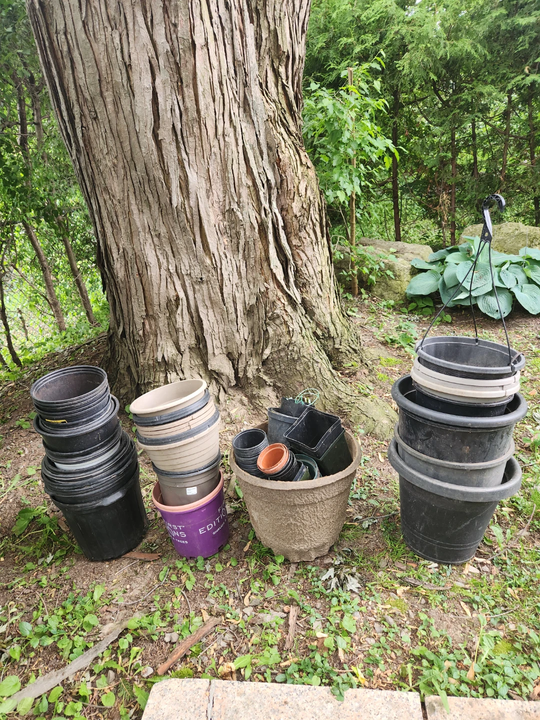 Assorted Plant Pots 115 pieces