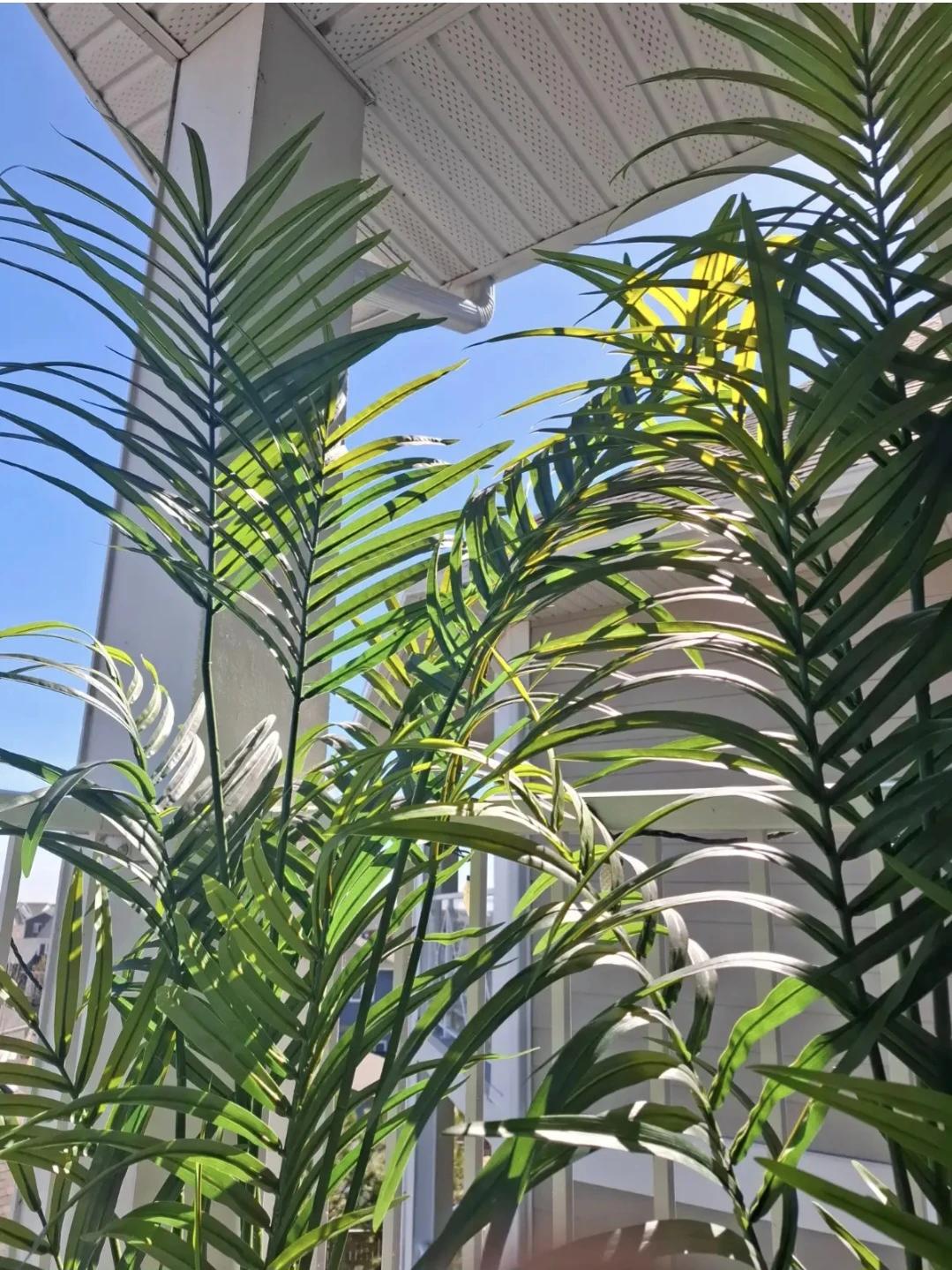 Pair of Tall Artficial Palm Plants - photo 2
