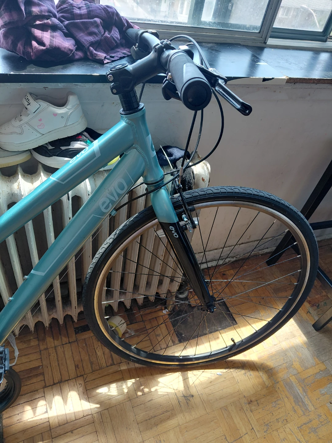 EVO "Grand Rapid" Women's or men Cruiser Bike - Teal
