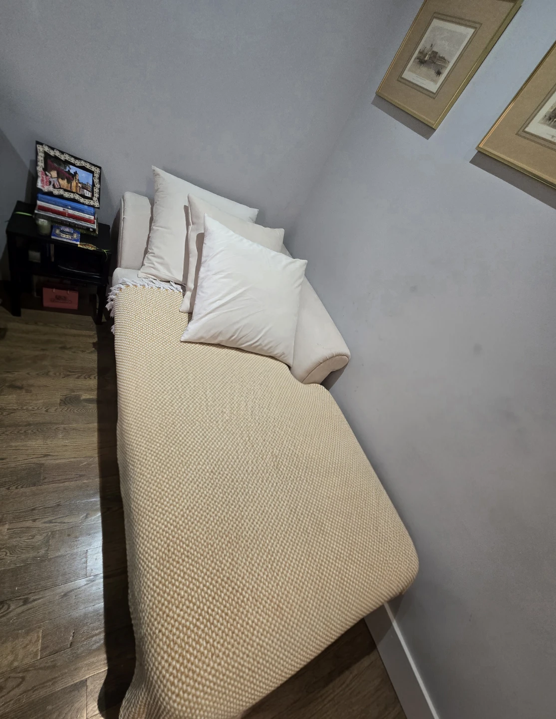 Chaise Lounge with Pillows - photo 2
