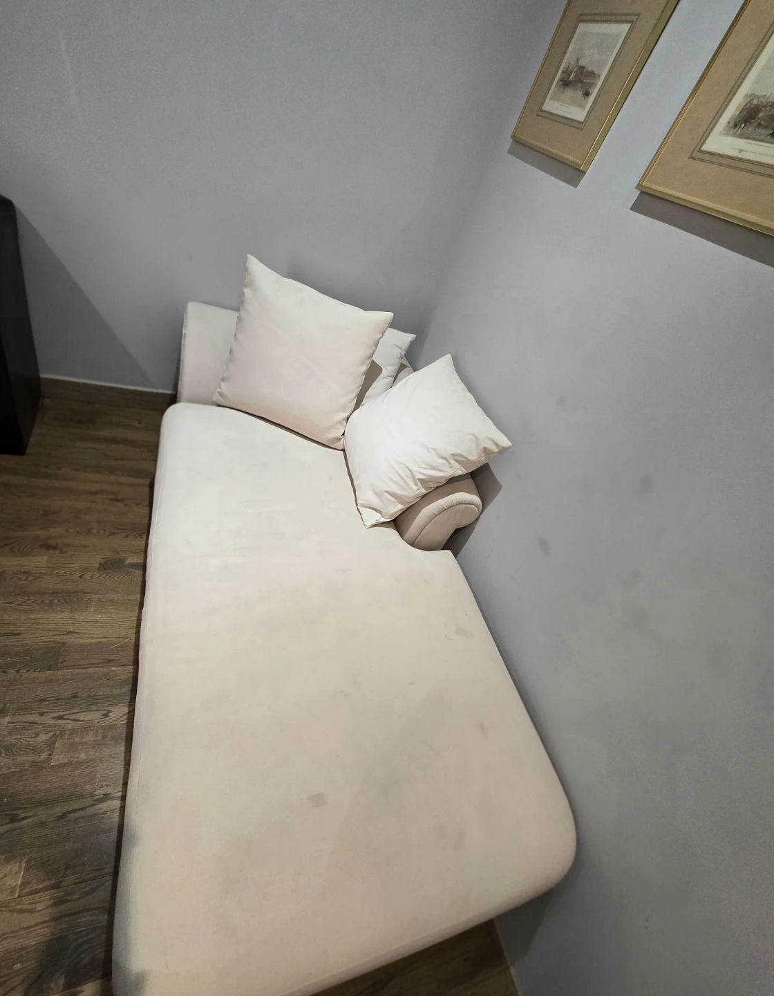 Chaise Lounge with Pillows - photo 3