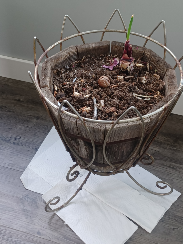 Plant Pot - photo 2