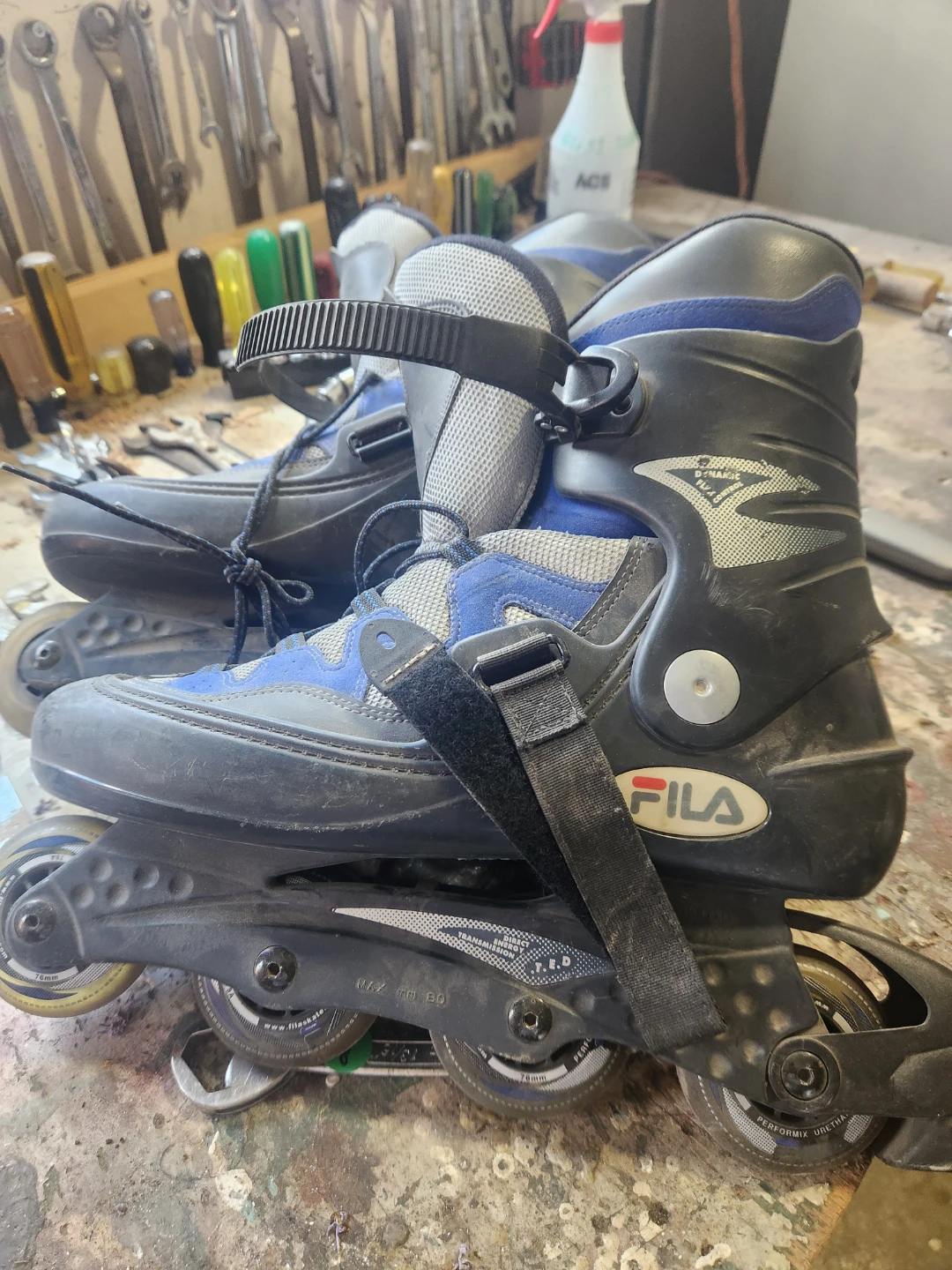 Fila Inline Skates