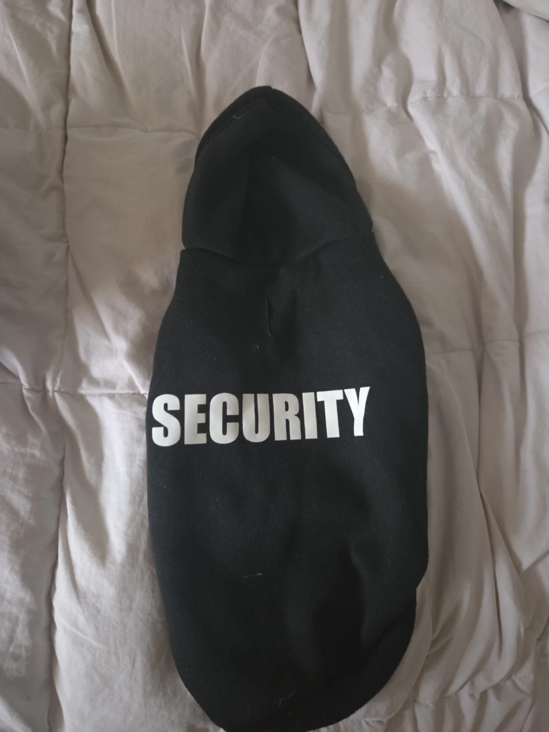 Black Dog or Cat Hoodie with "SECURITY" Print