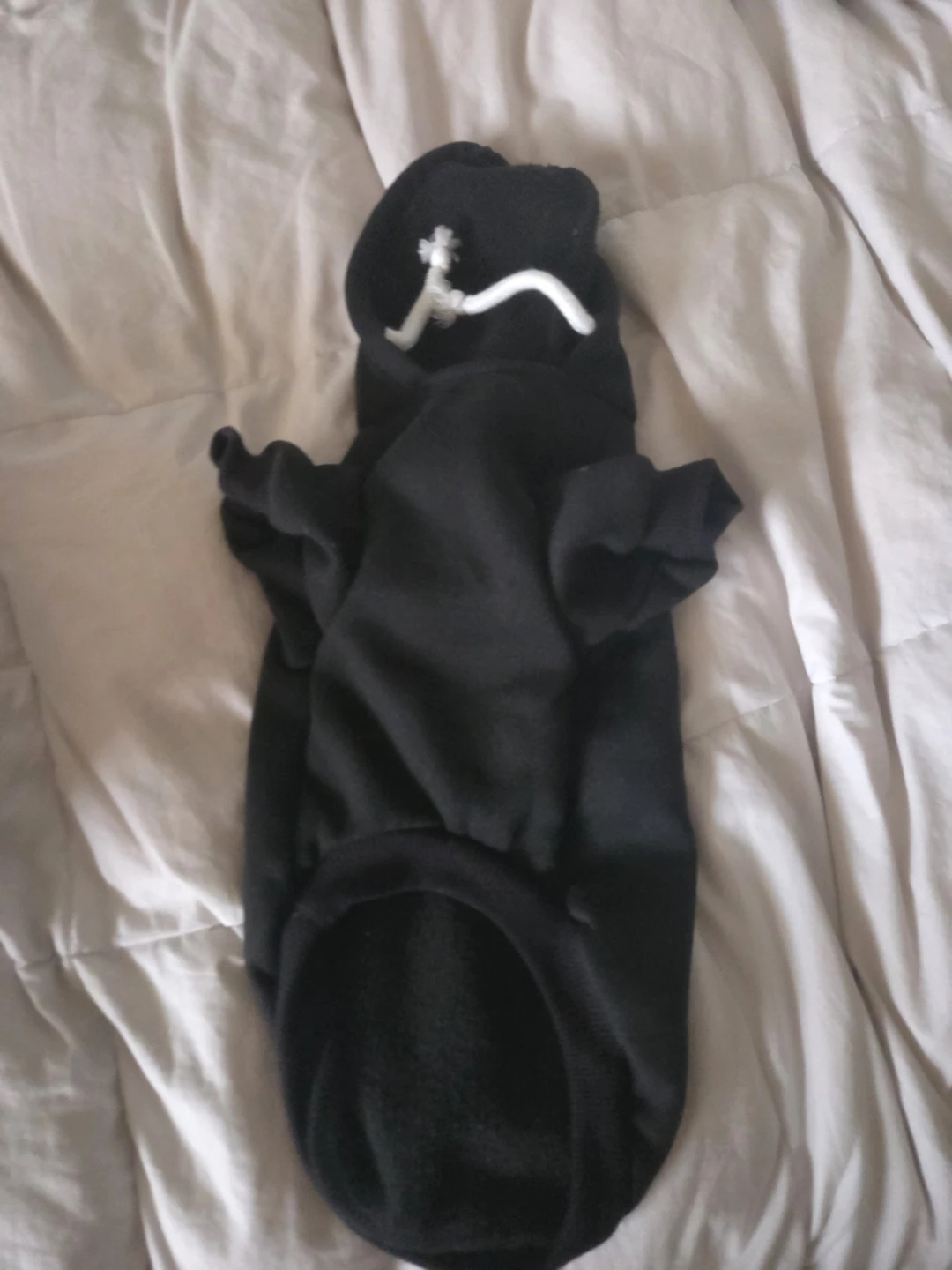 Black Dog or Cat Hoodie with "SECURITY" Print - photo 2