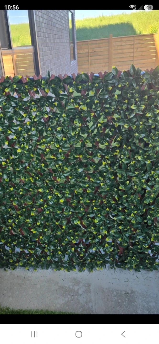 NEW 36x72 PRIVACY BOXWOOD TRELLIS