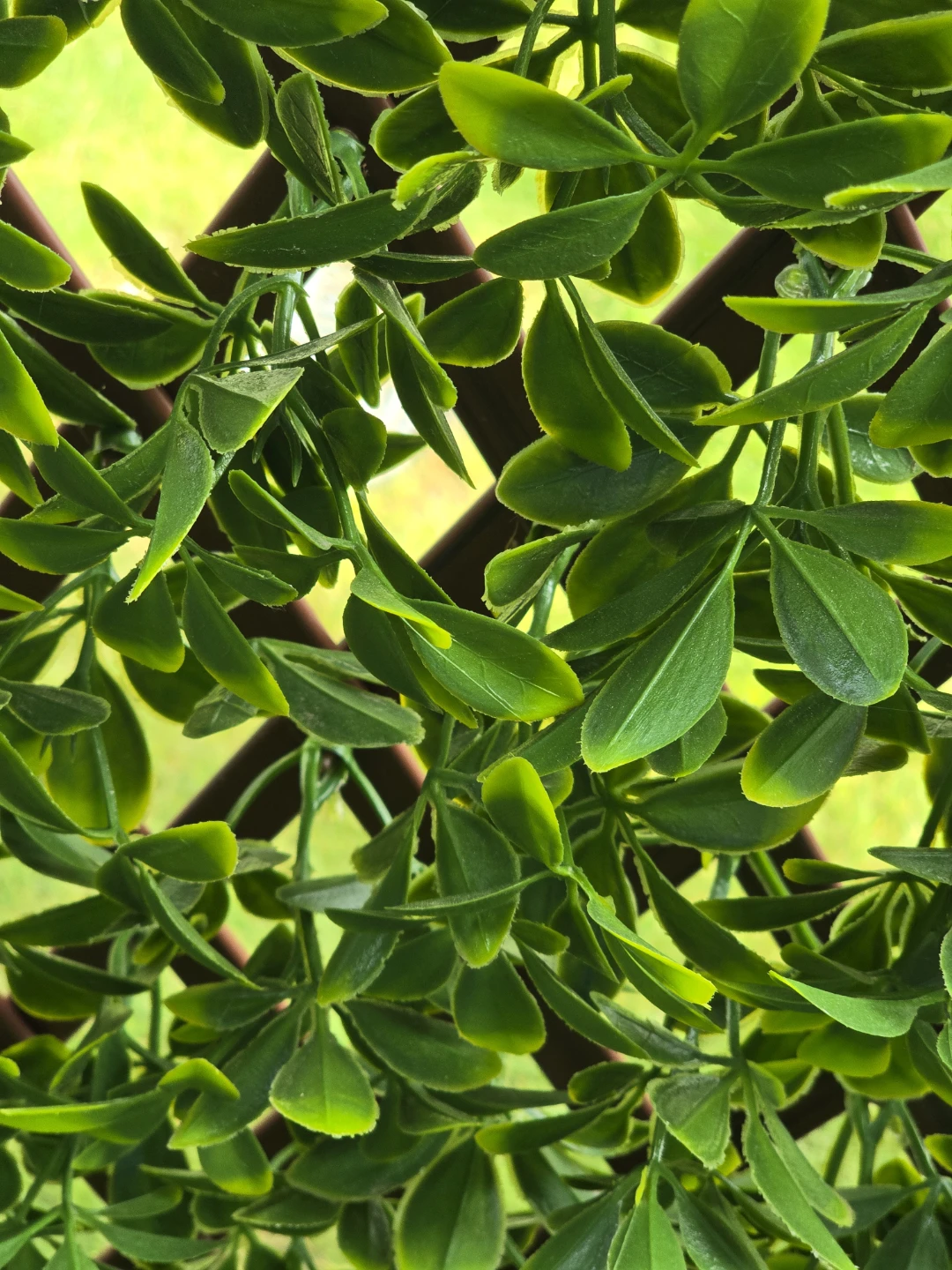 NEW 36x72 PRIVACY BOXWOOD TRELLIS - photo 2
