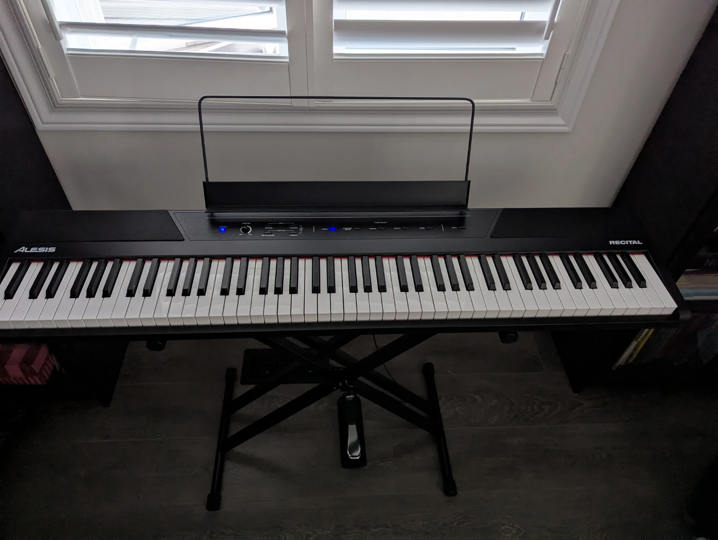 Alesis Recital Digital Piano with Sustain Pedal
