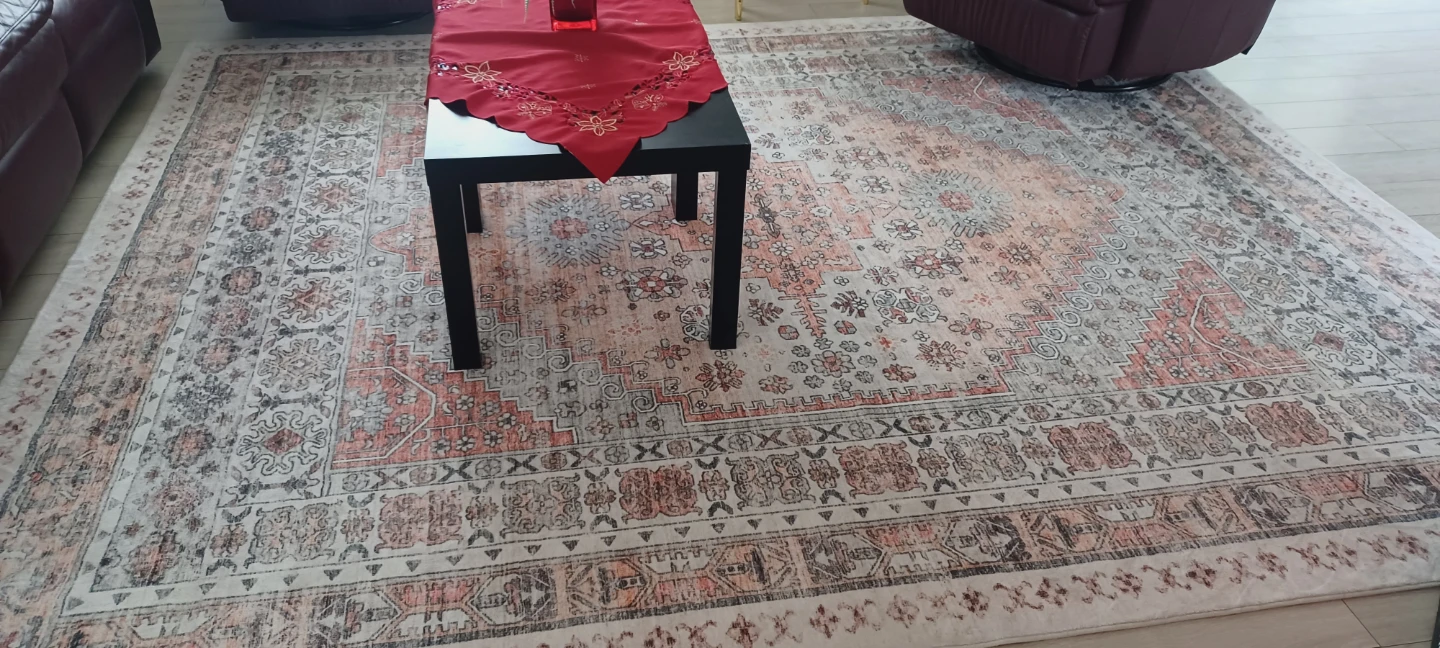 Bohemian 8x10 Area Rug - Vintage Low Pile - photo 3