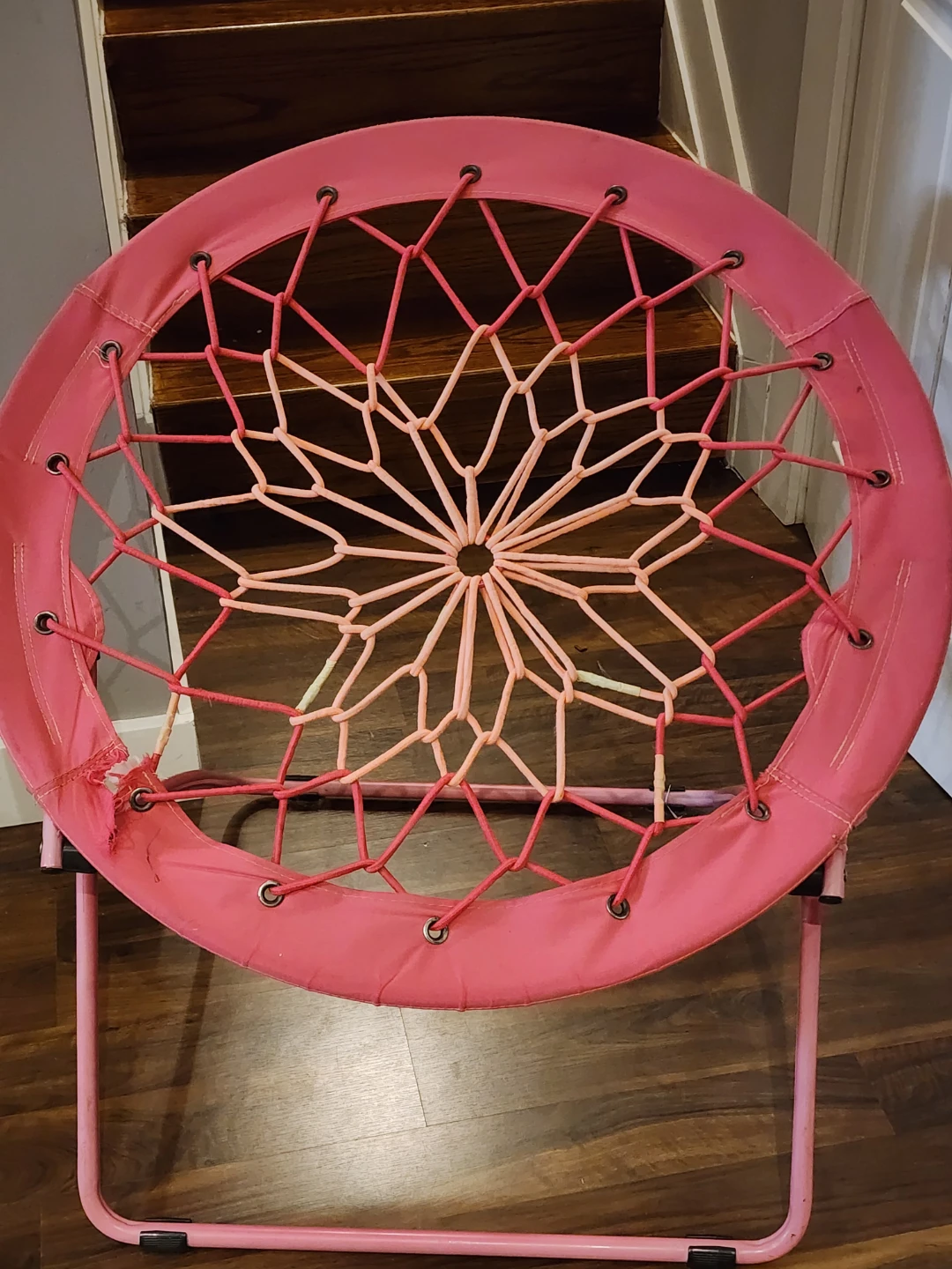 Pink Bungee Chair