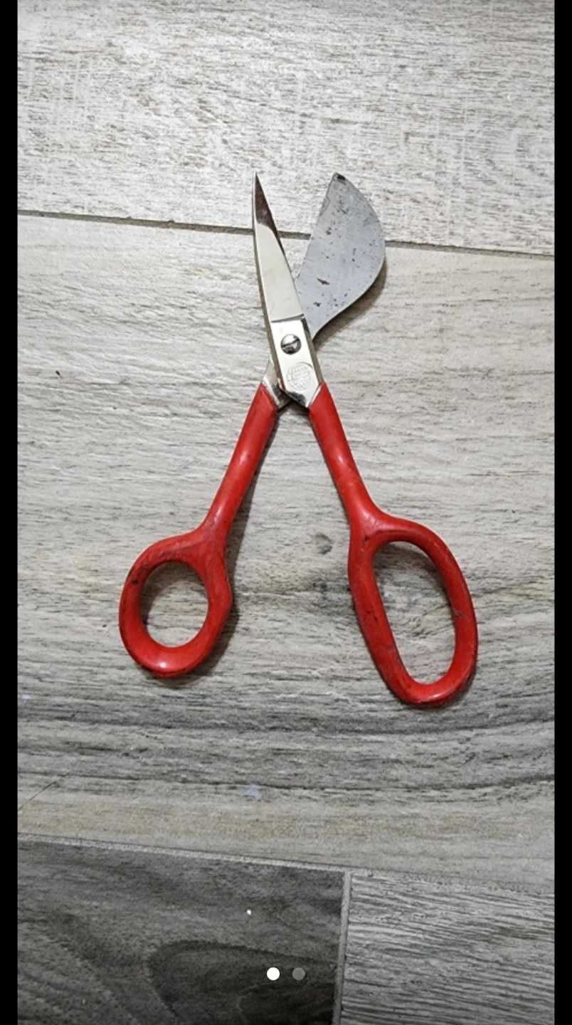 Red Handle Carpet Scissors ⚽