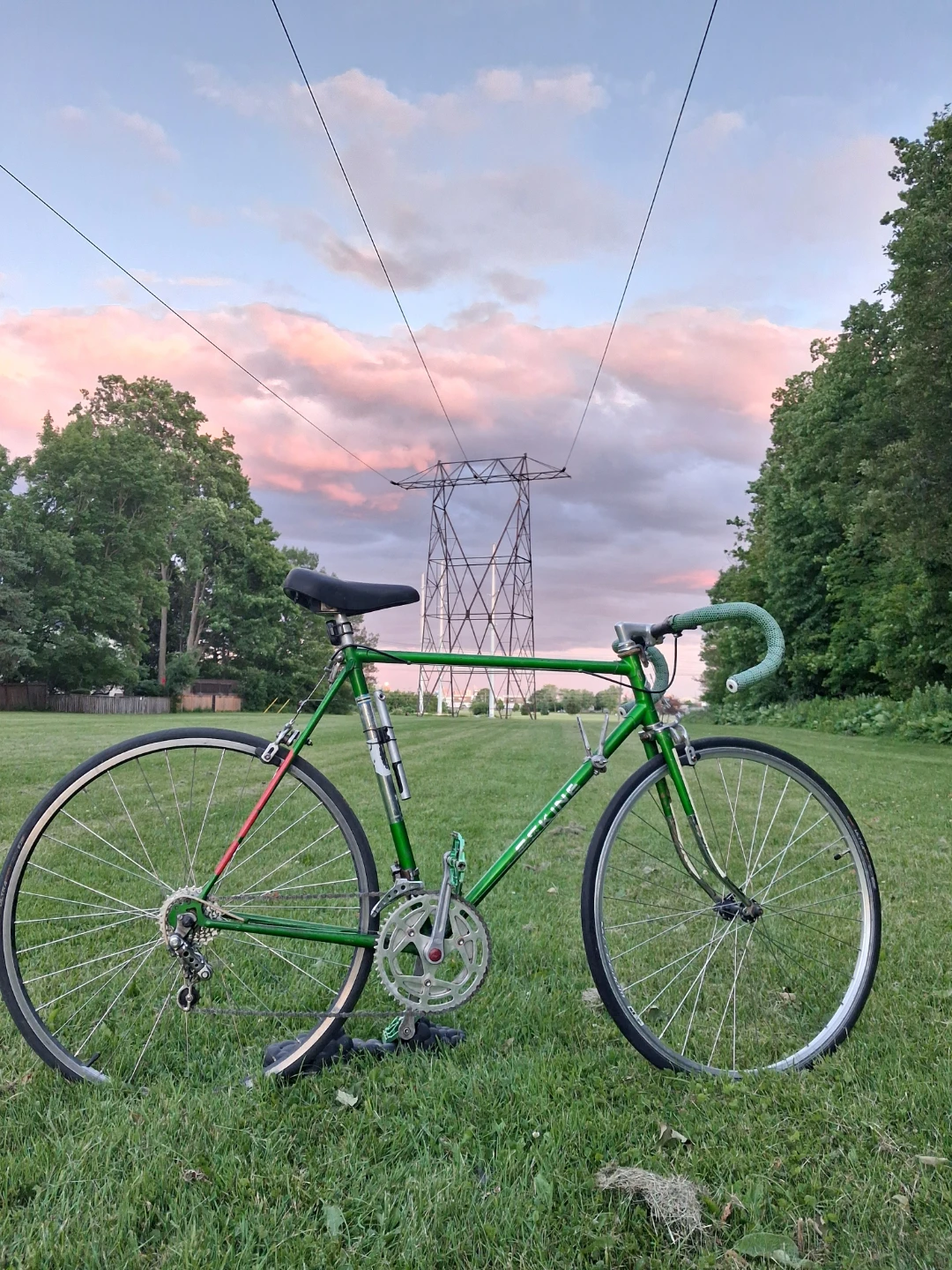 Green Sekine Road Bike - photo 2