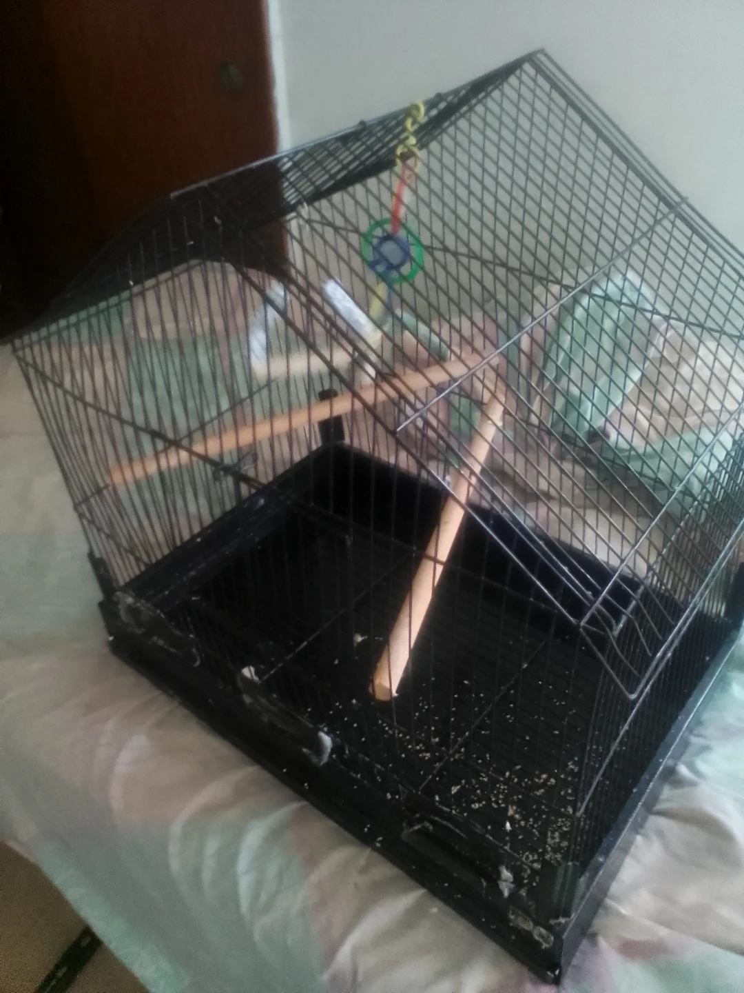 Black Bird Cage with Perches - photo 2
