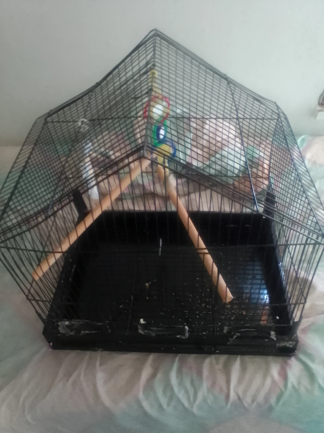Black Bird Cage with Perches - photo 3