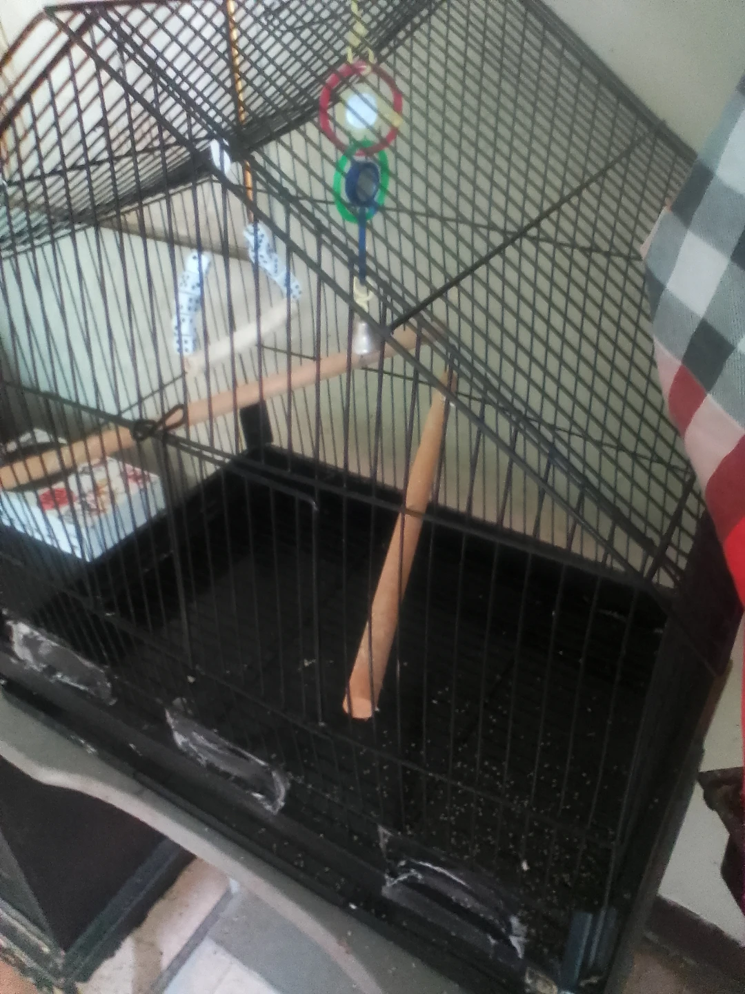 Black Bird Cage with Perches - photo 4