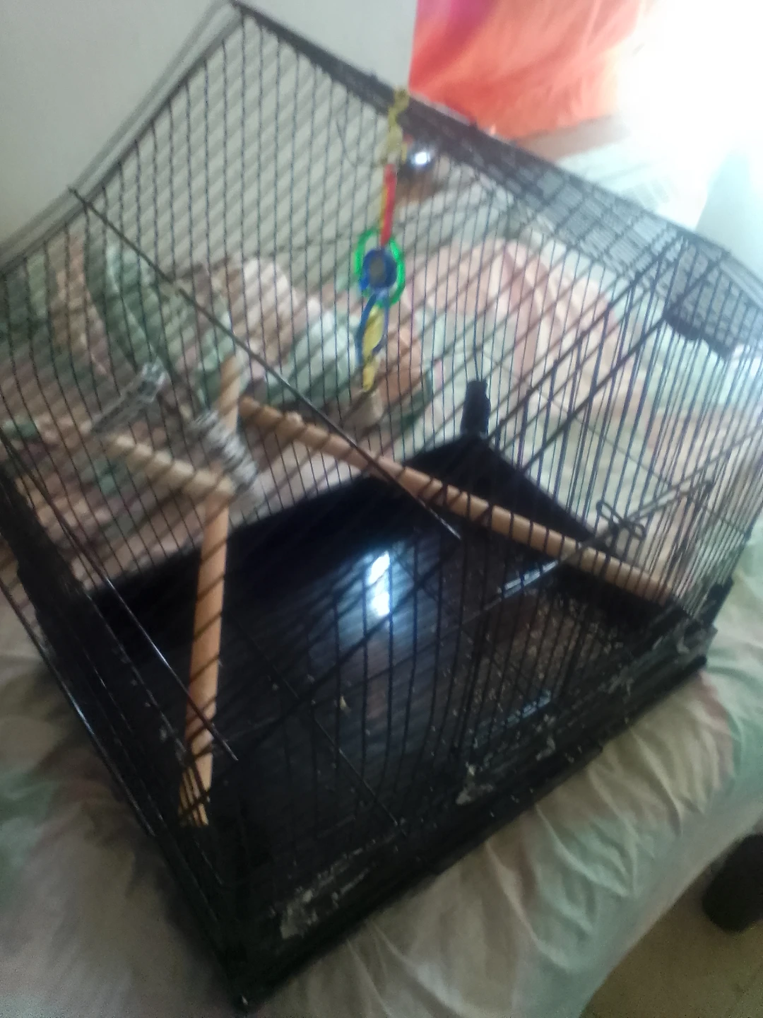 Black Bird Cage with Perches - photo 5