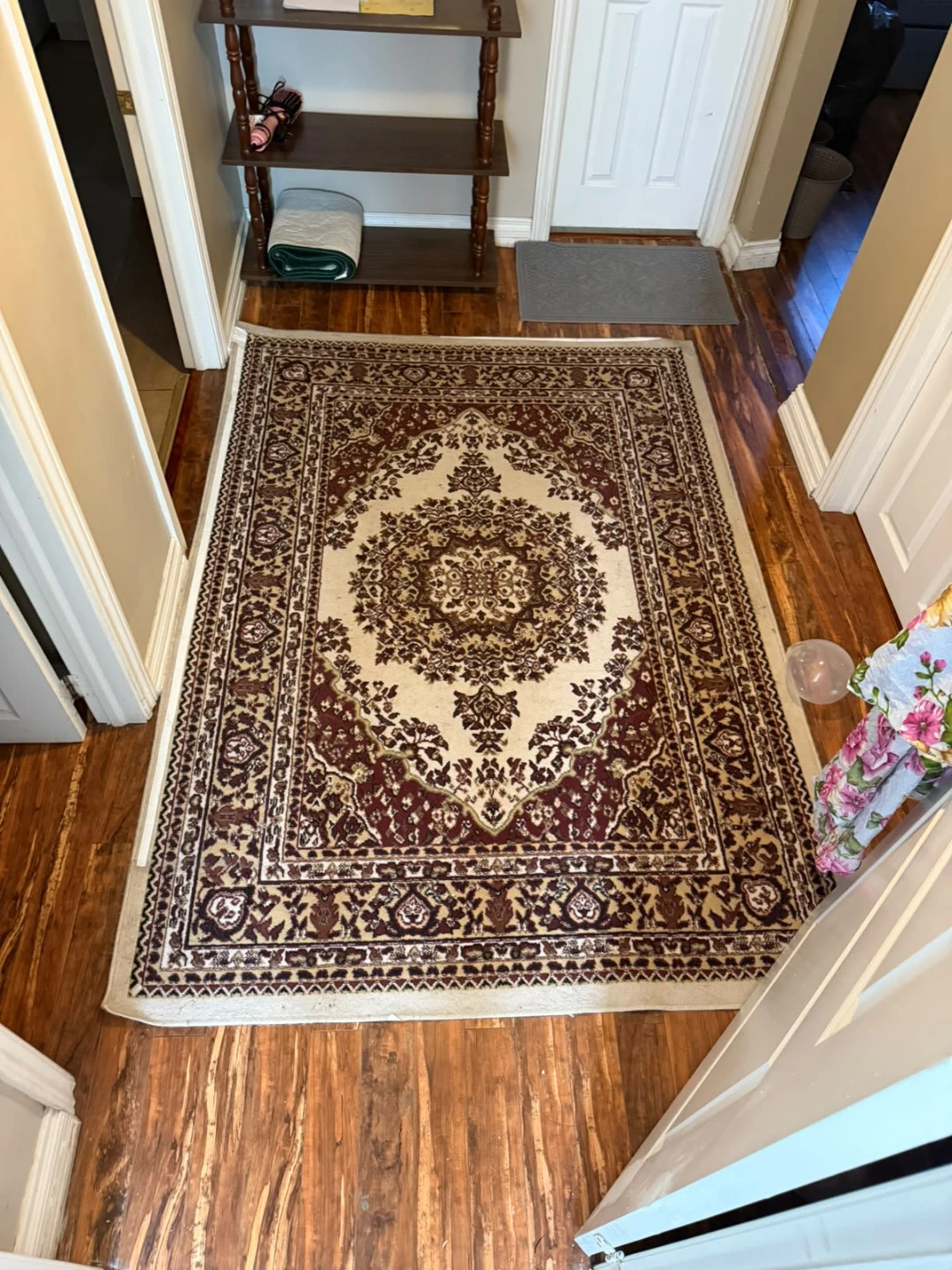 Area Rug with Traditional Pattern