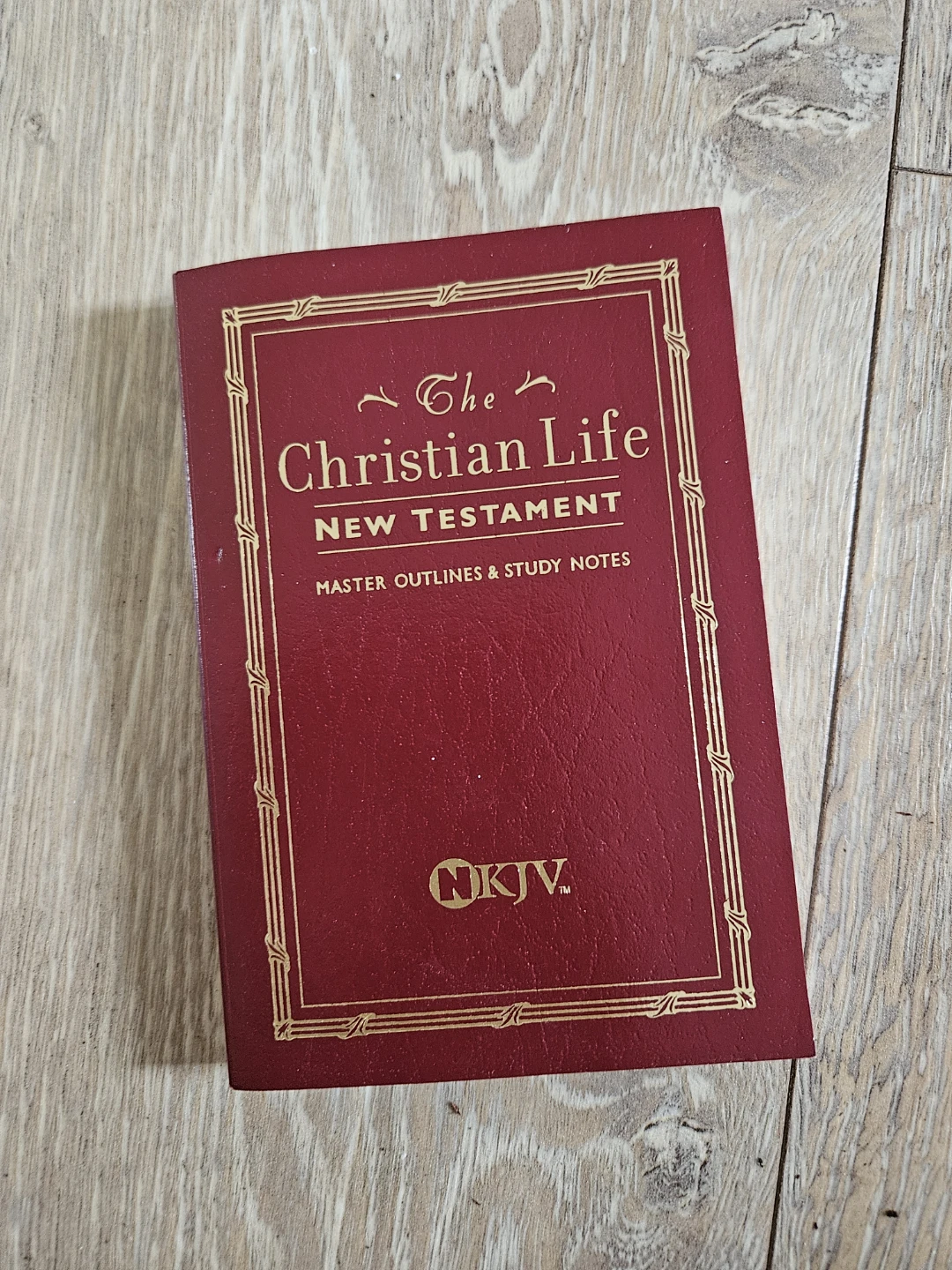 ⚽️The Christian Life New Testament NKJV Study Notes