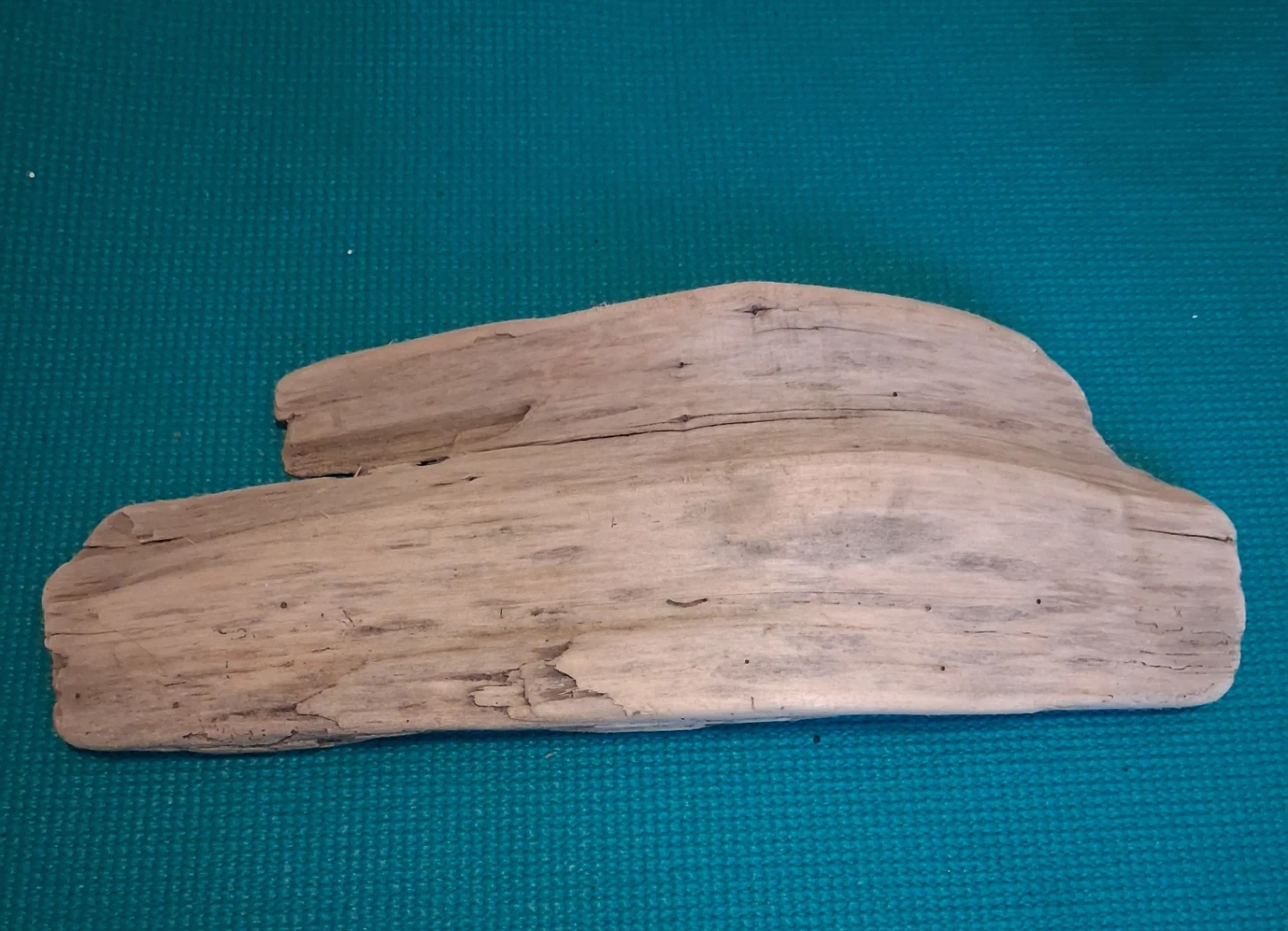 Decorative Driftwood Piece