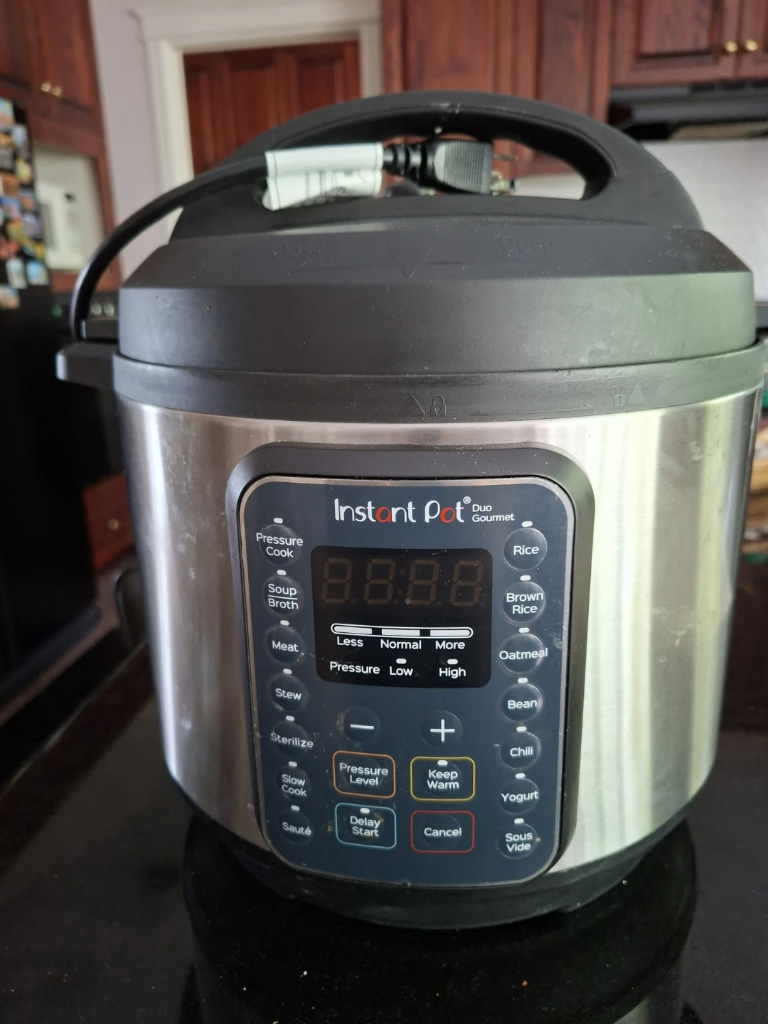 6 Quart Instant Pot Duo Gourmet Pressure Cooker