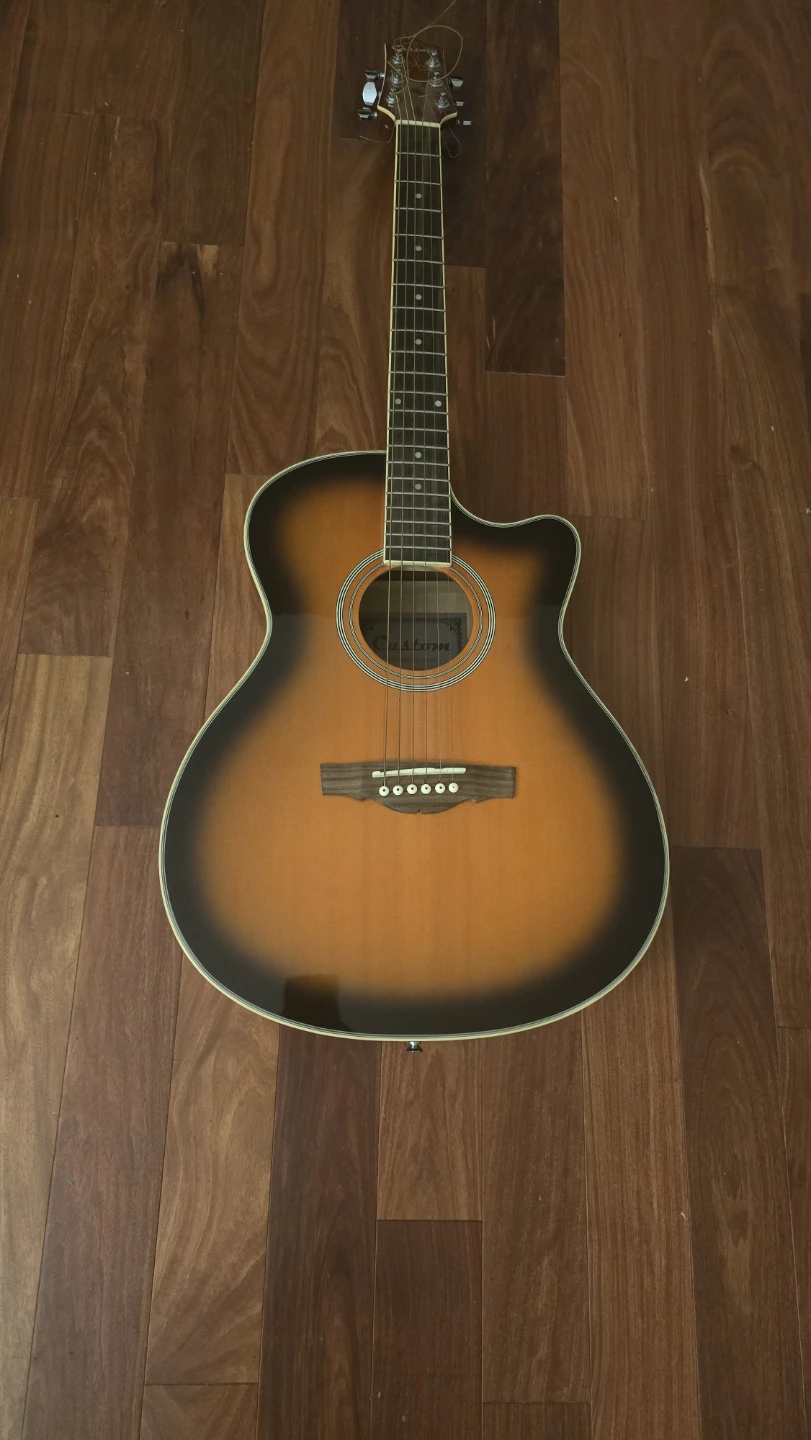 Acoustic Guitar