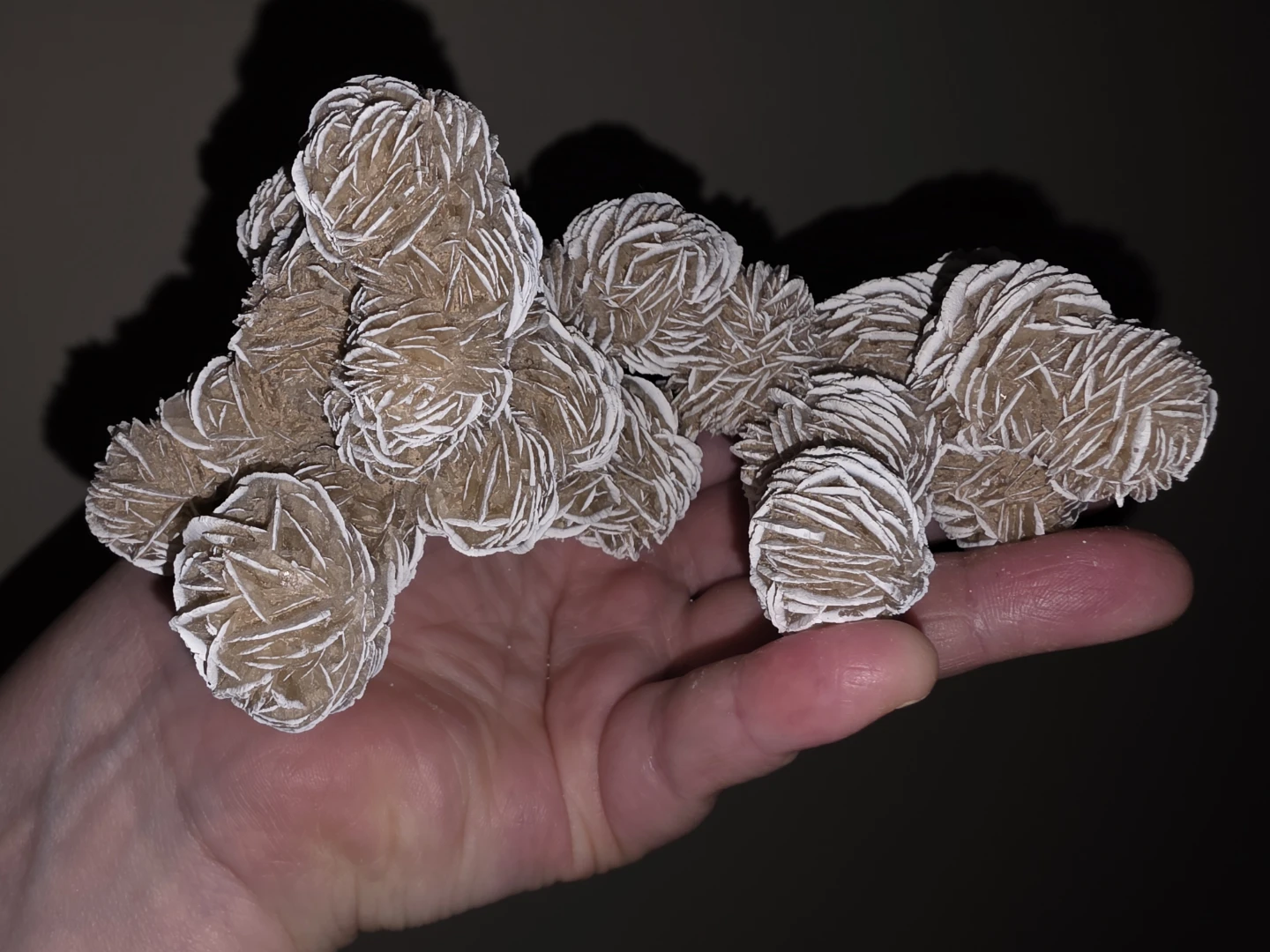 Desert Rose Crystal Cluster
