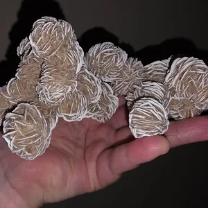 ⚽Desert Rose Crystal Cluster