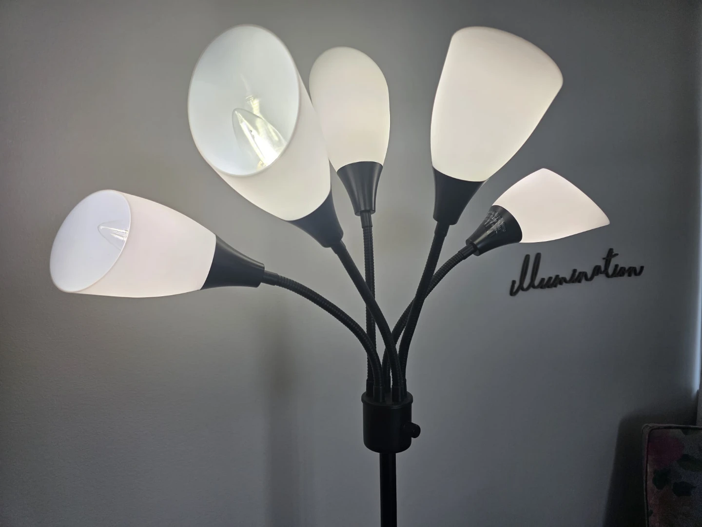 5-light adjustable gooseneck lamp