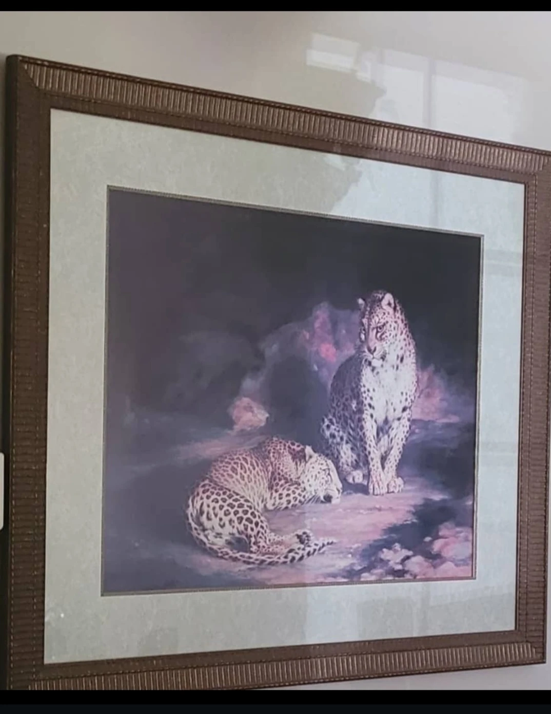 Framed Print of Two Leopards