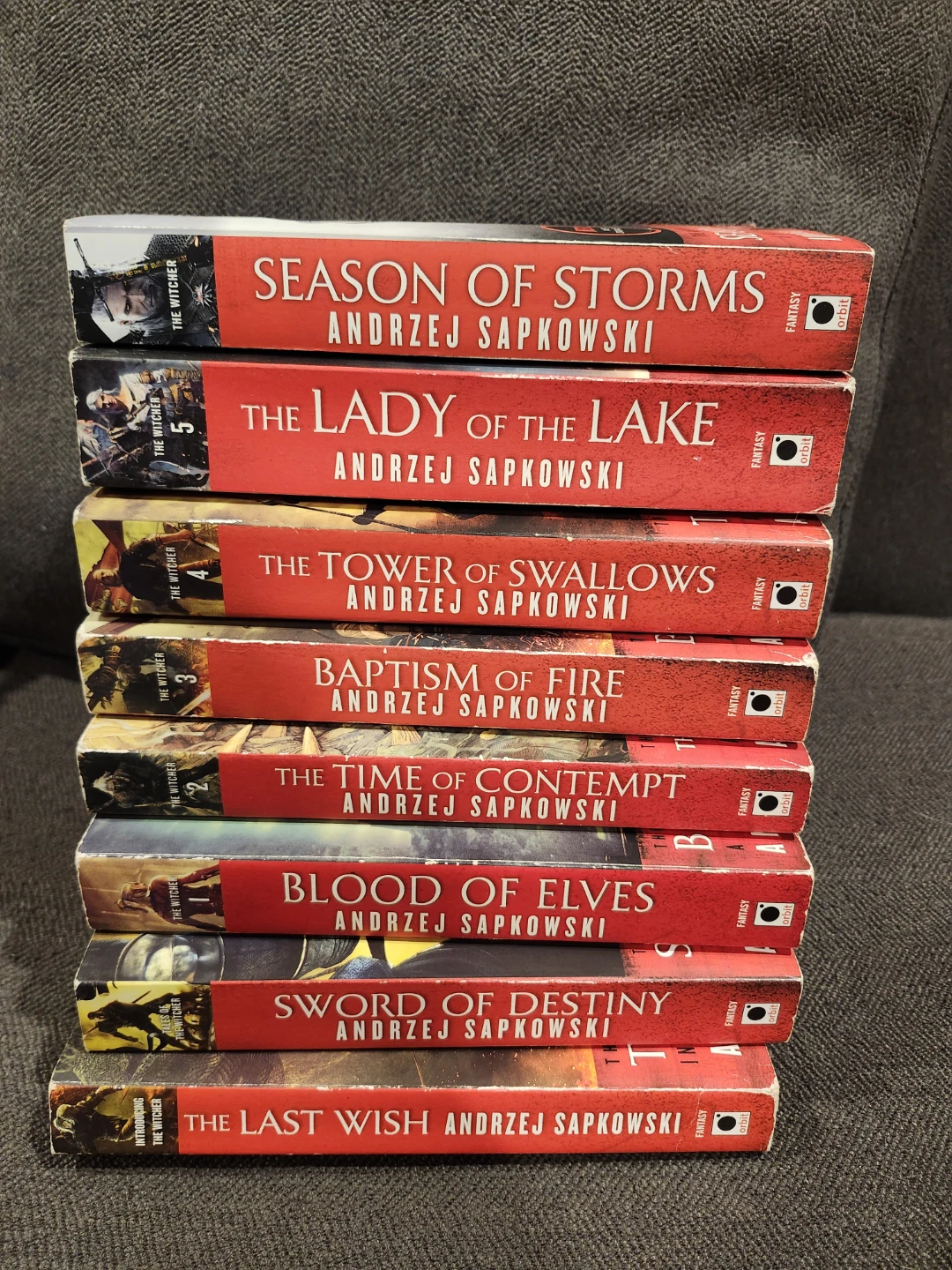 The Witcher Book Series by Andrzej Sapkowski