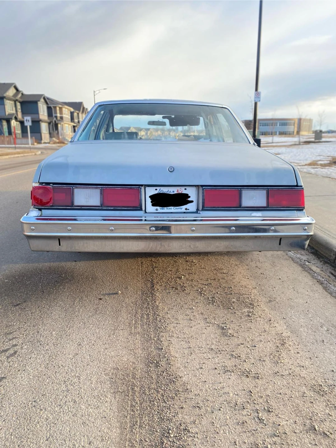 1978 Oldsmobile Omega - photo 4