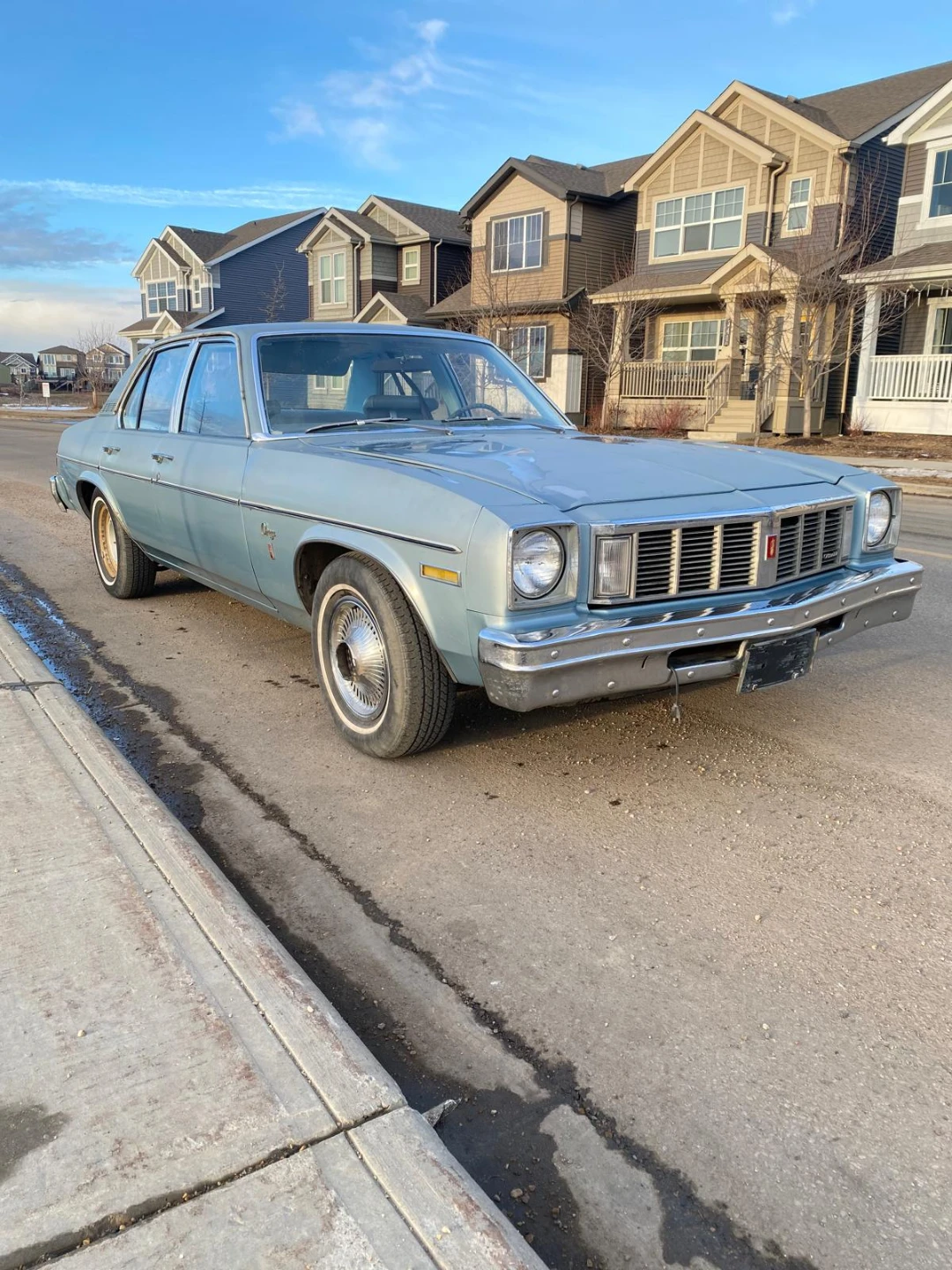 1978 Oldsmobile Omega - photo 5