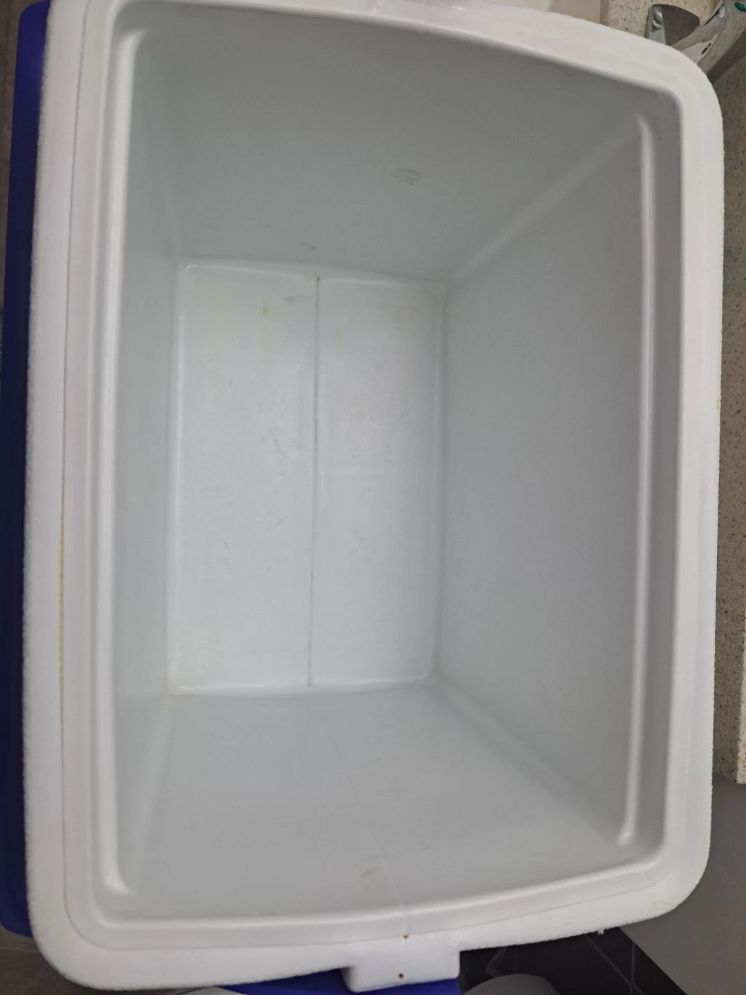 Small Coleman Cooler - photo 5