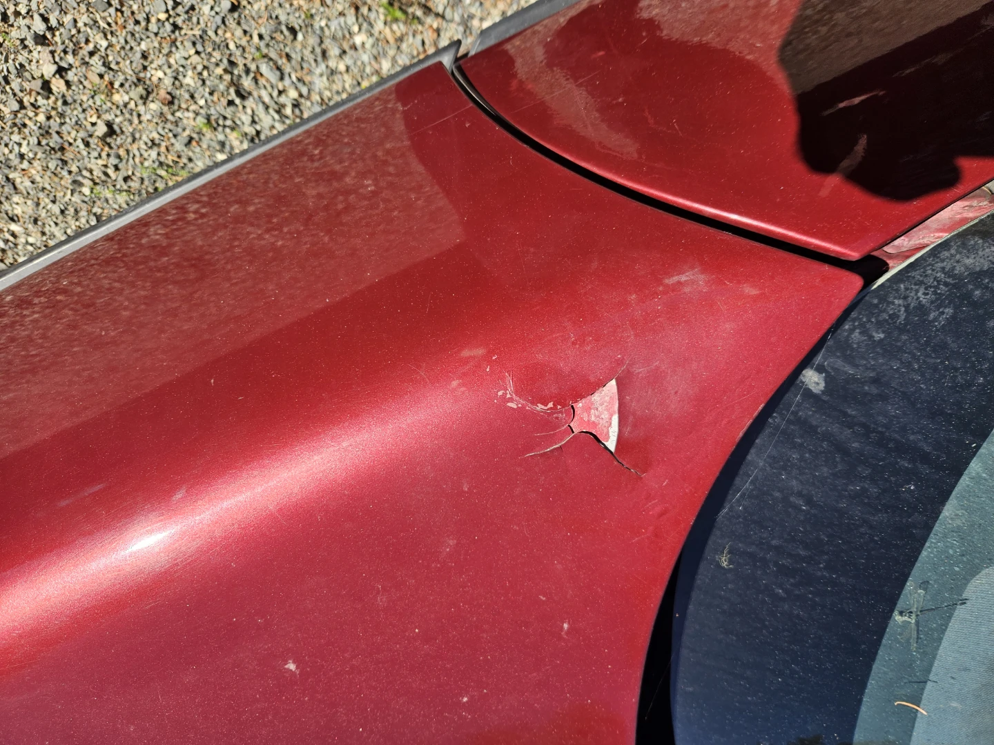1984 corvette - photo 3