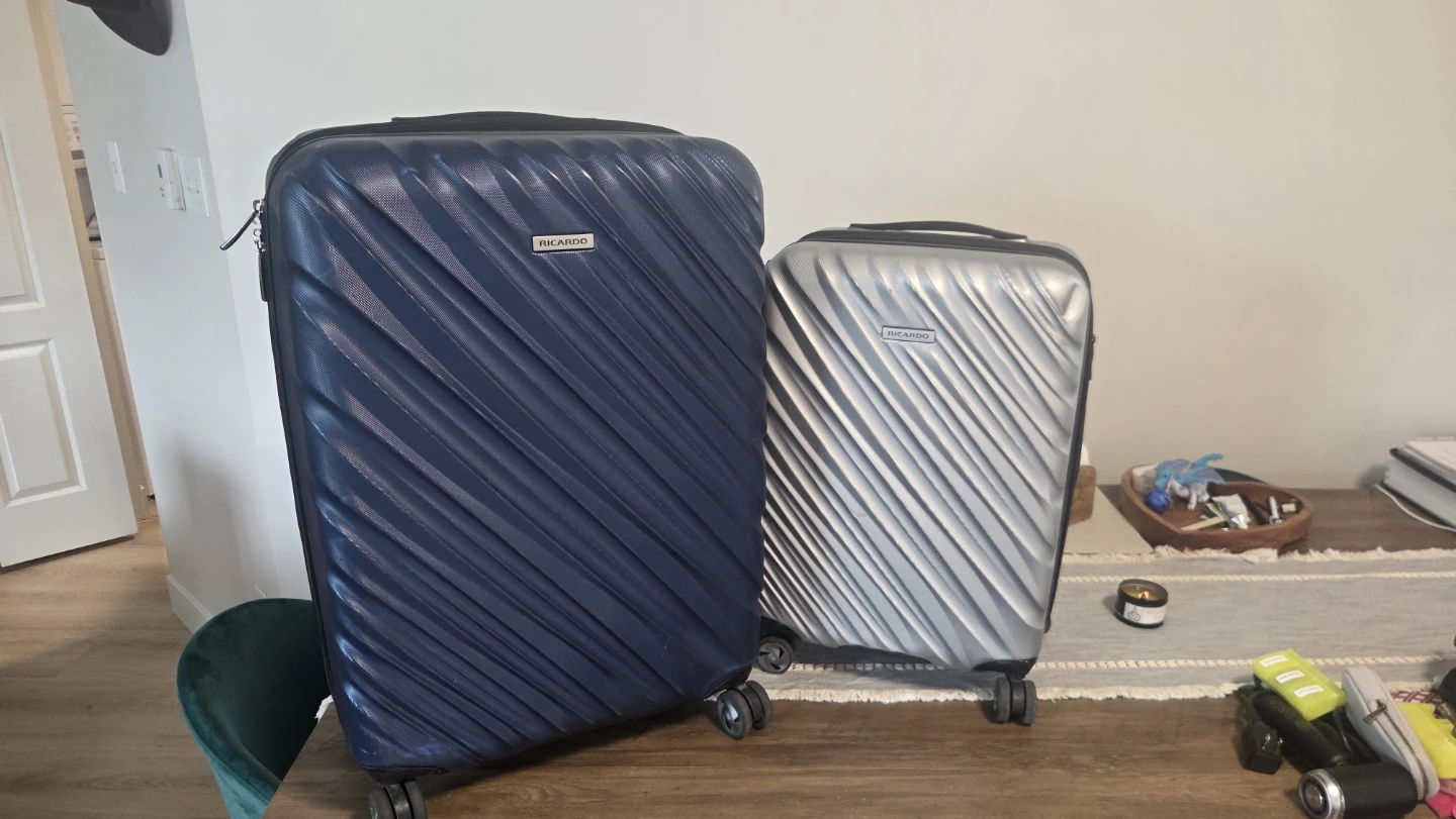 Ricardo Luggage Set - Blue and Silver