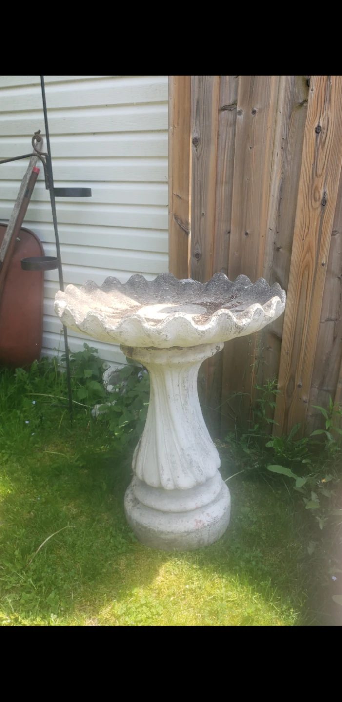 Concrete Bird Bath