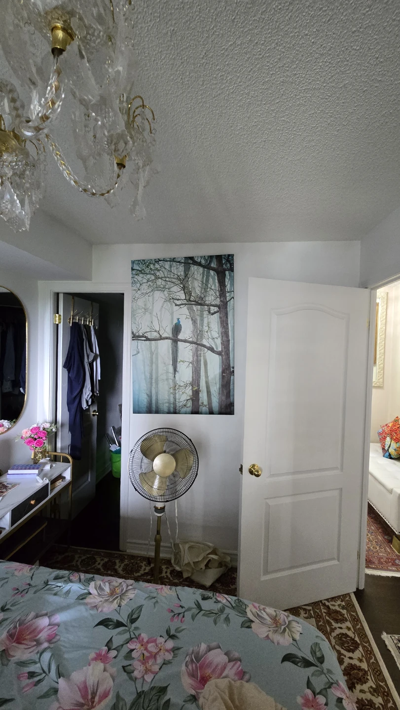 Large Canvas Print with Peacock in Forest Scene - photo 2