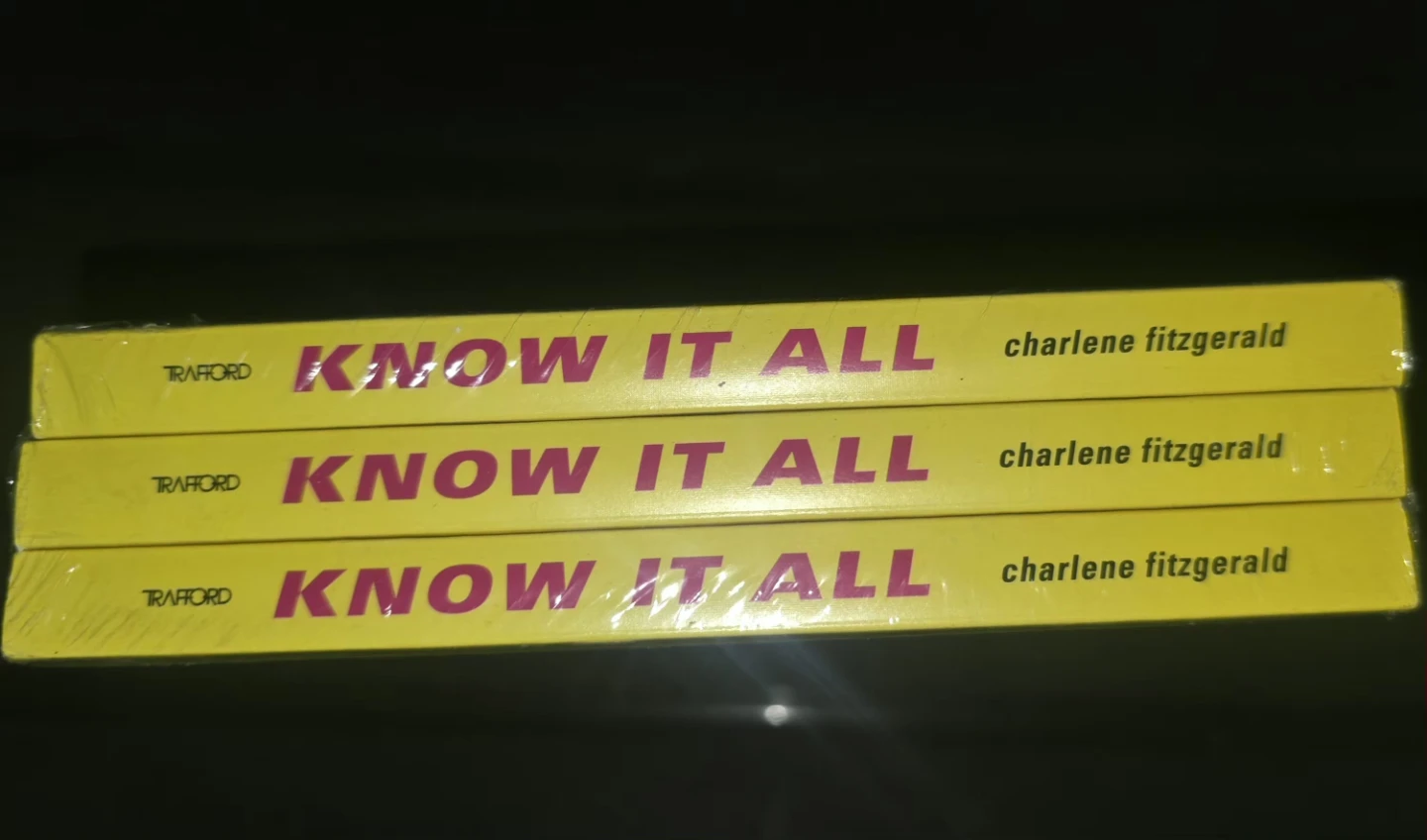 Know It All Book by Charlene Fitzgerald - photo 3