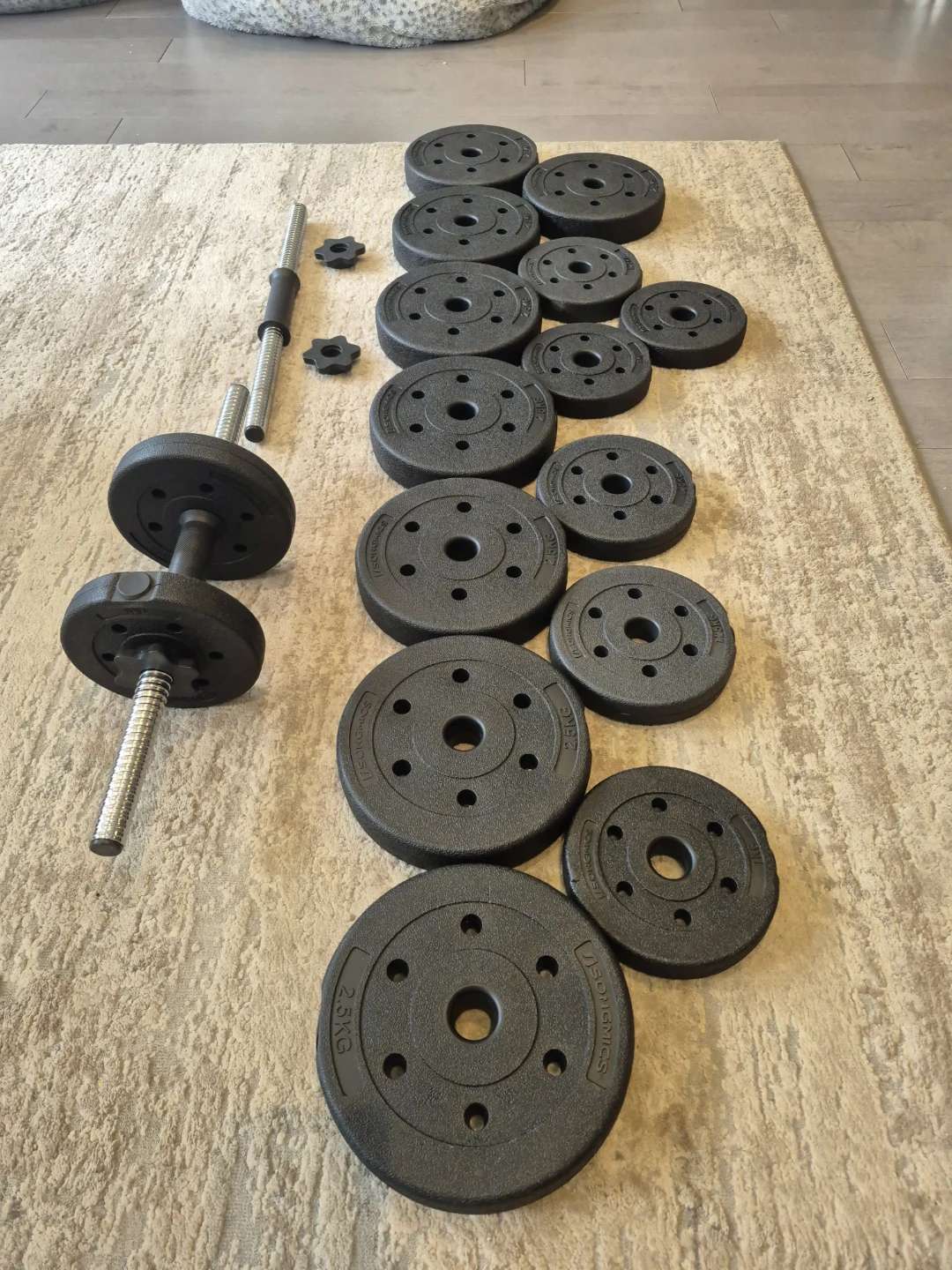 SONGMICS Adjustable Dumbbell Set