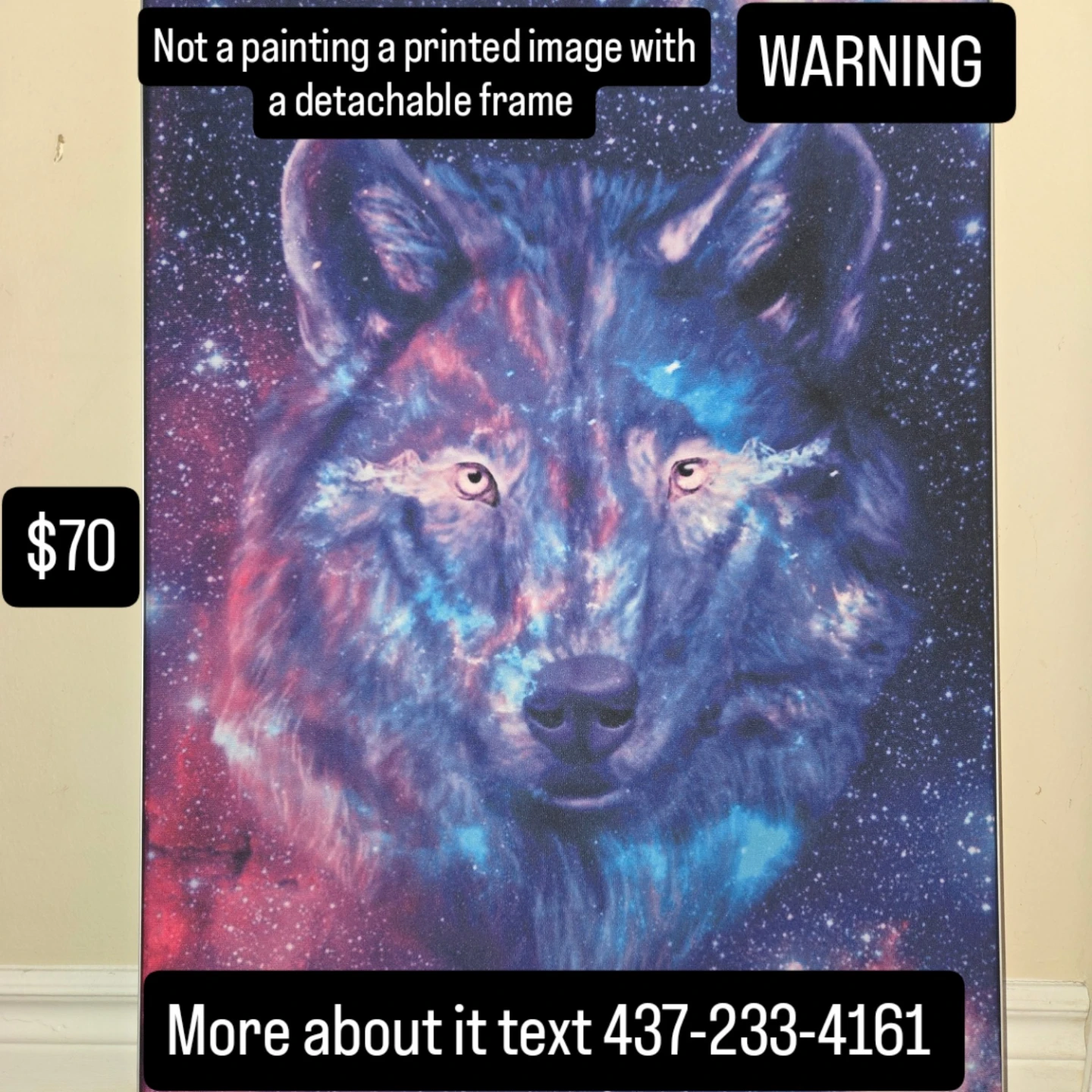 Printed Image of Wolf on Detachable Frame
